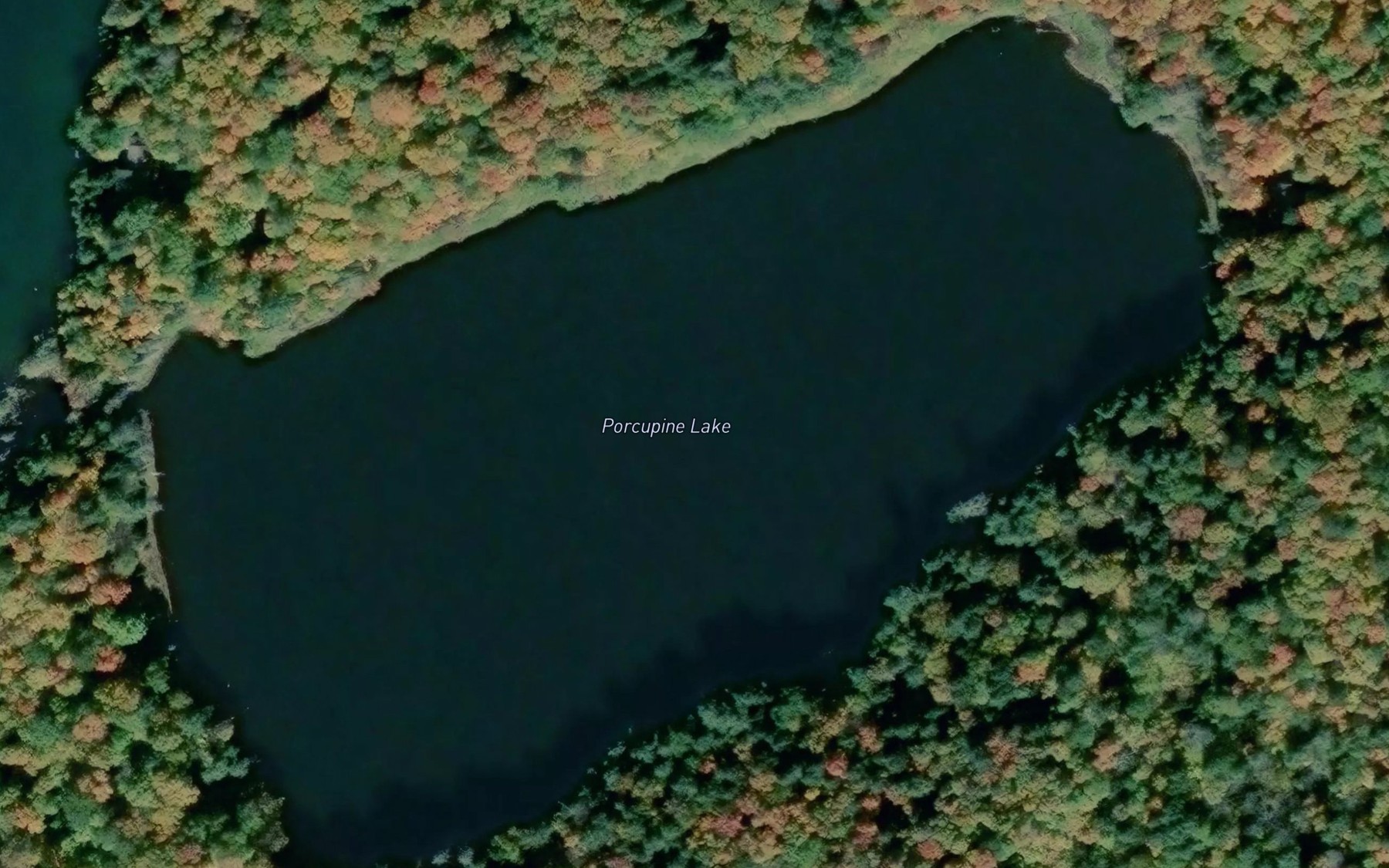 Satellite map of the Porcupine Lake