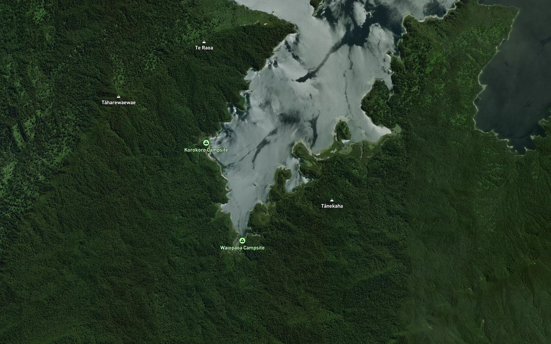 Satellite map of the Te Kaha Stream