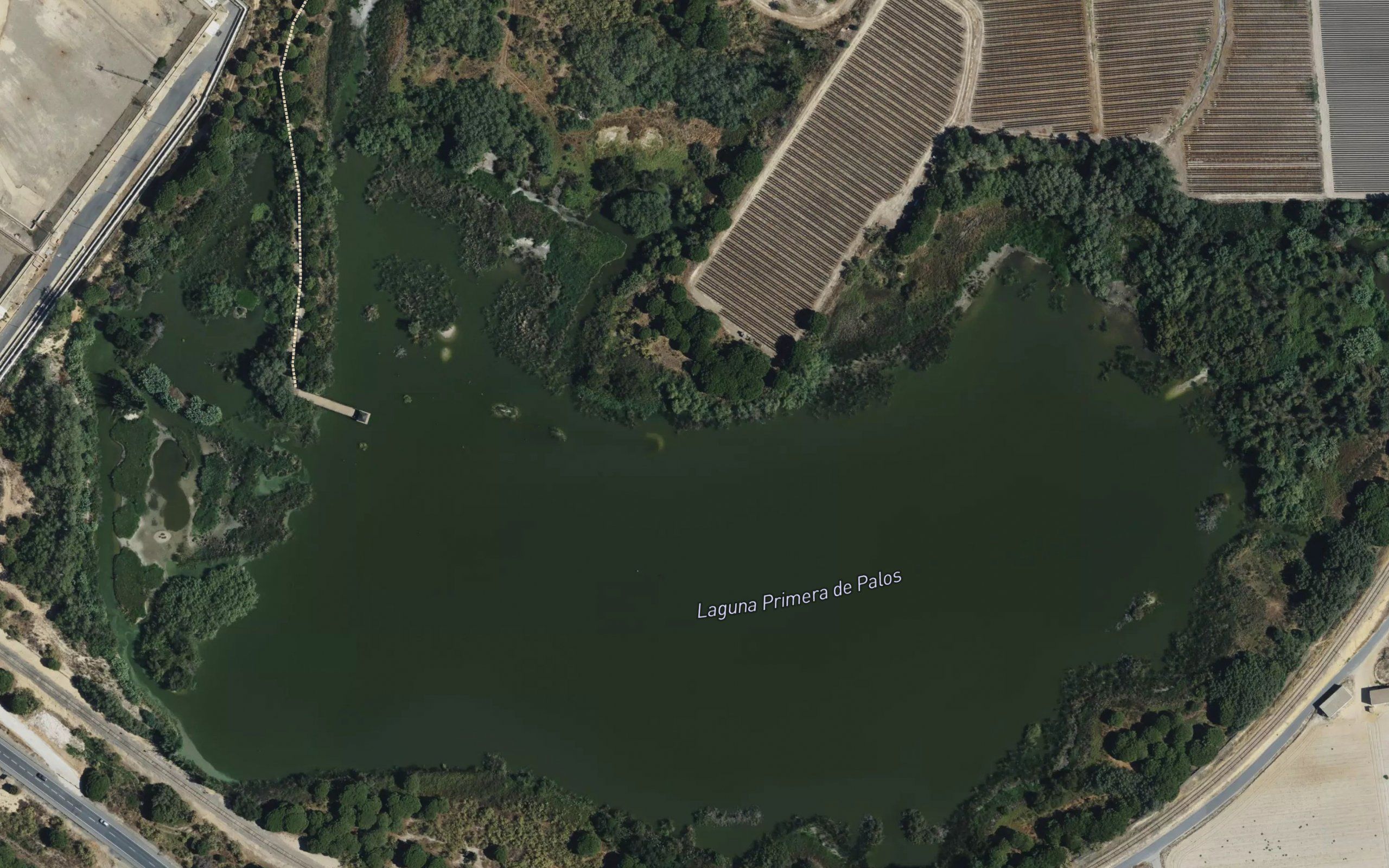 Laguna Primera de Palos