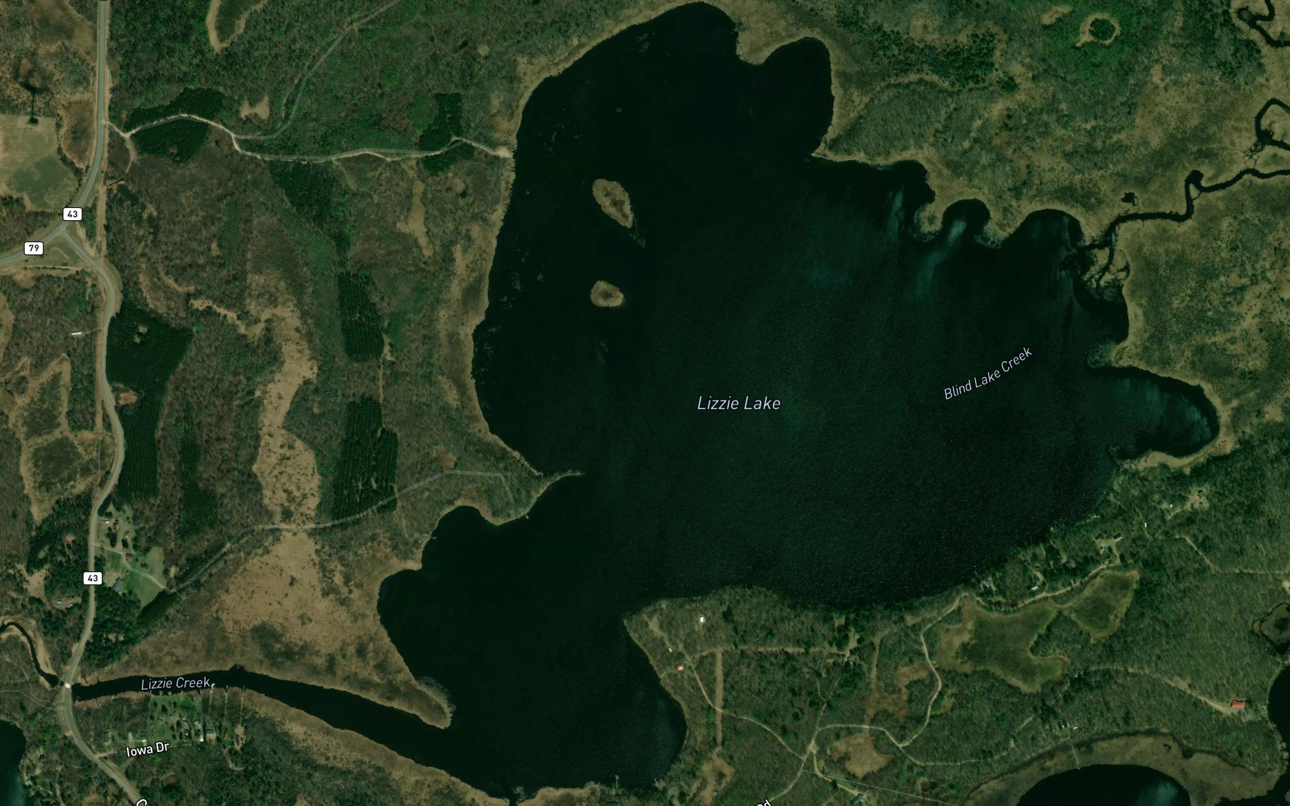 Lizzie Lake
