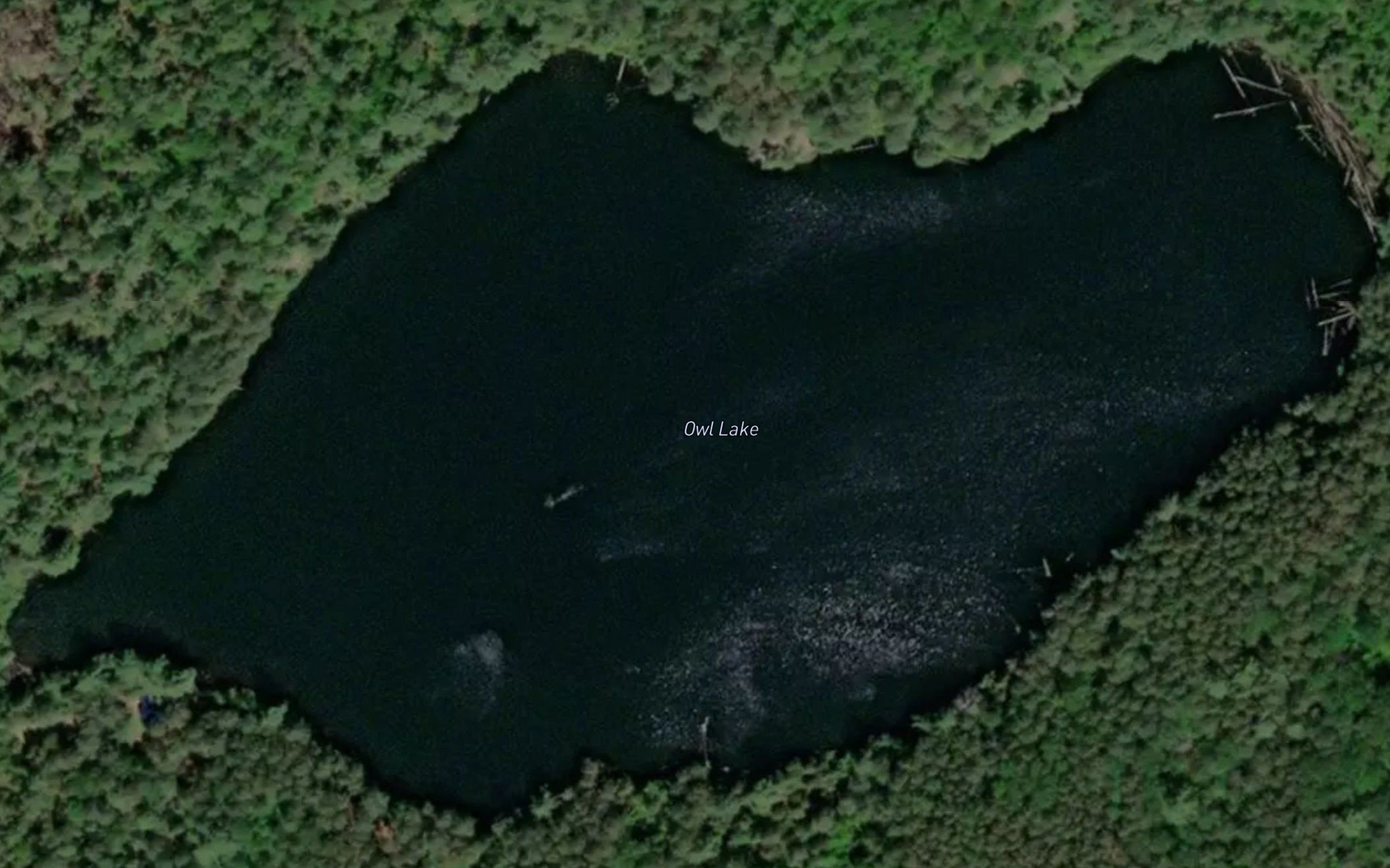 Owl Lake