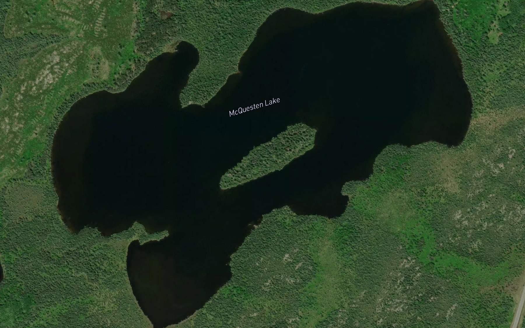 Satellite map of the McQuesten Lake