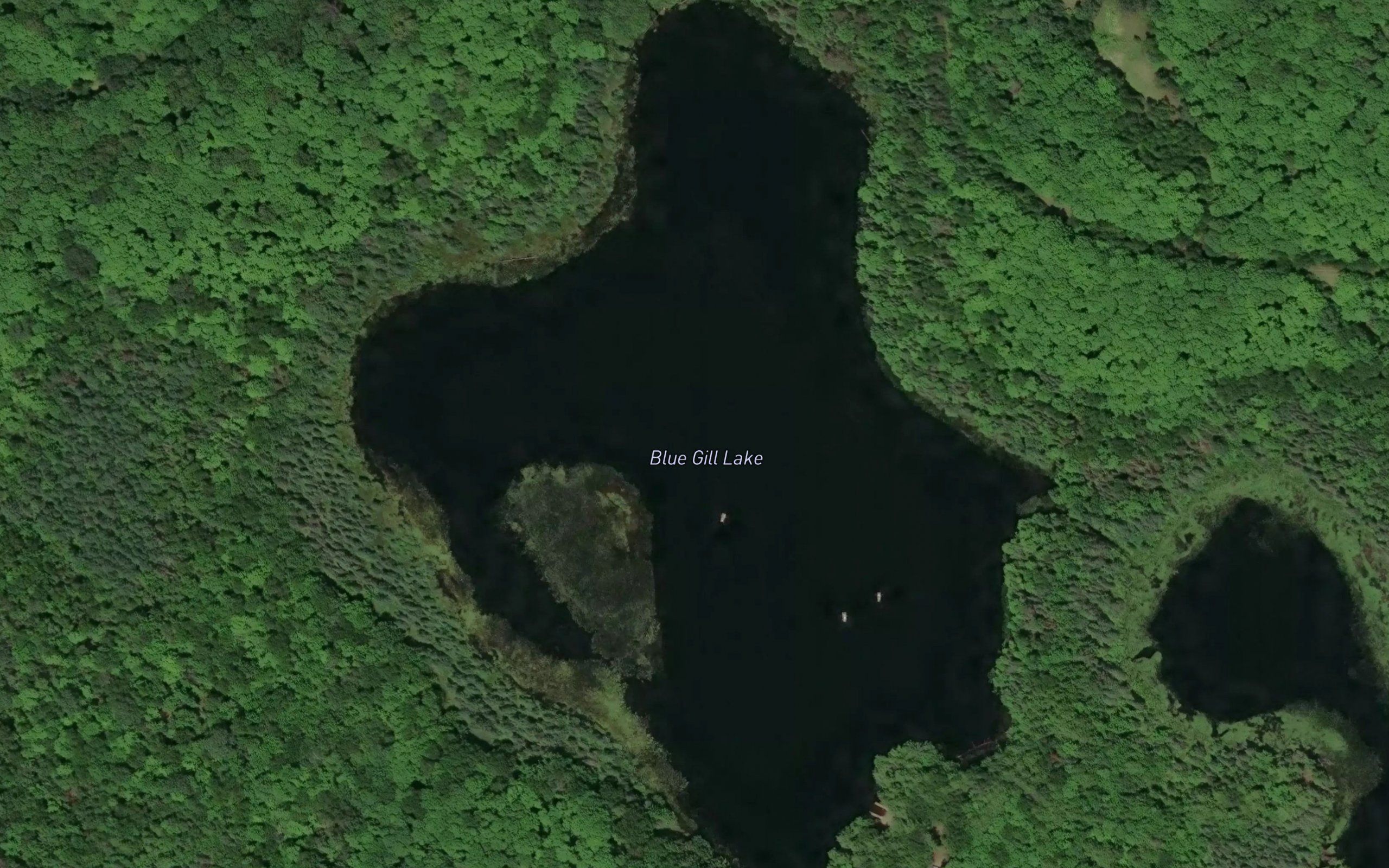 Blue Gill Lake