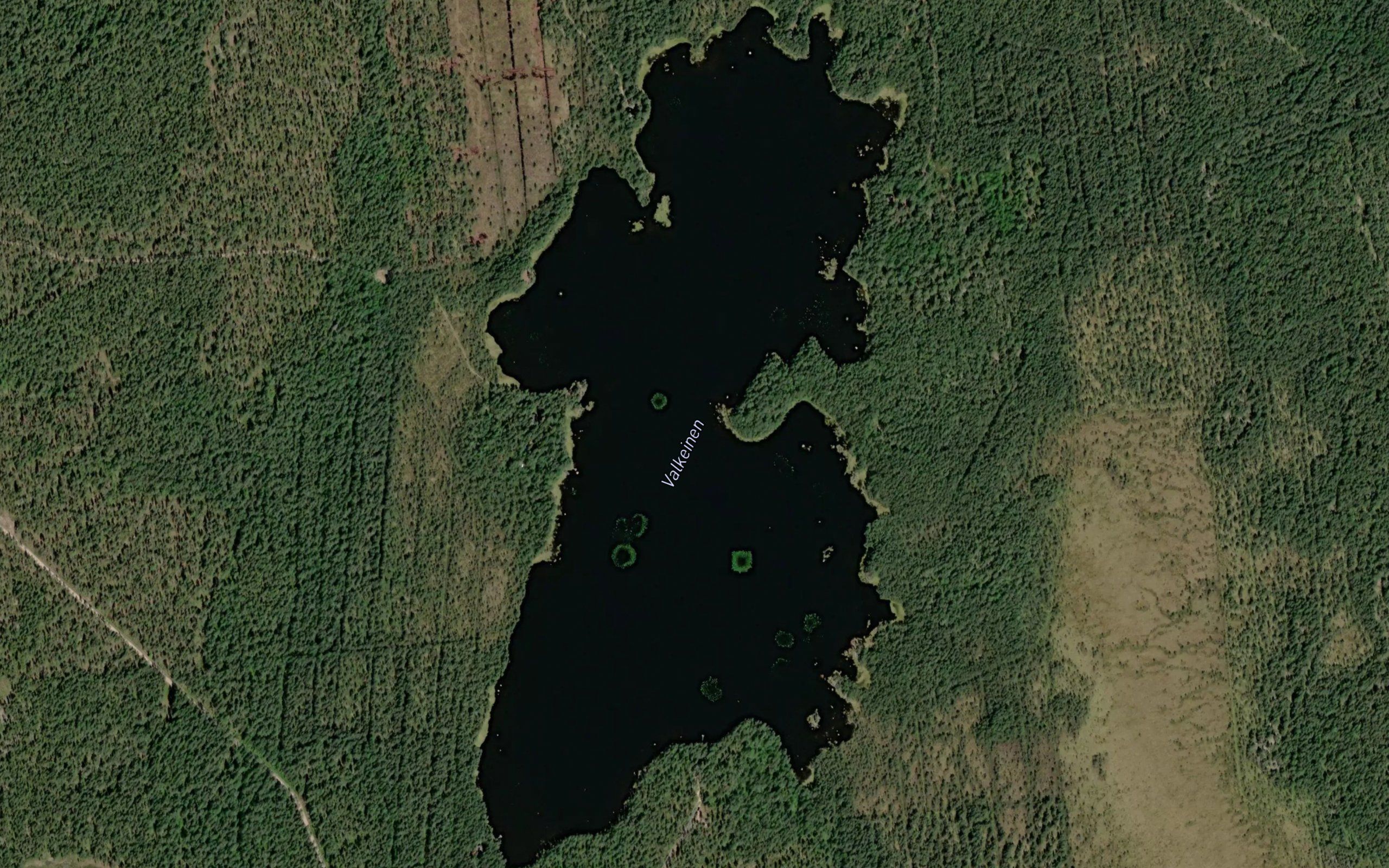 Valkeinen