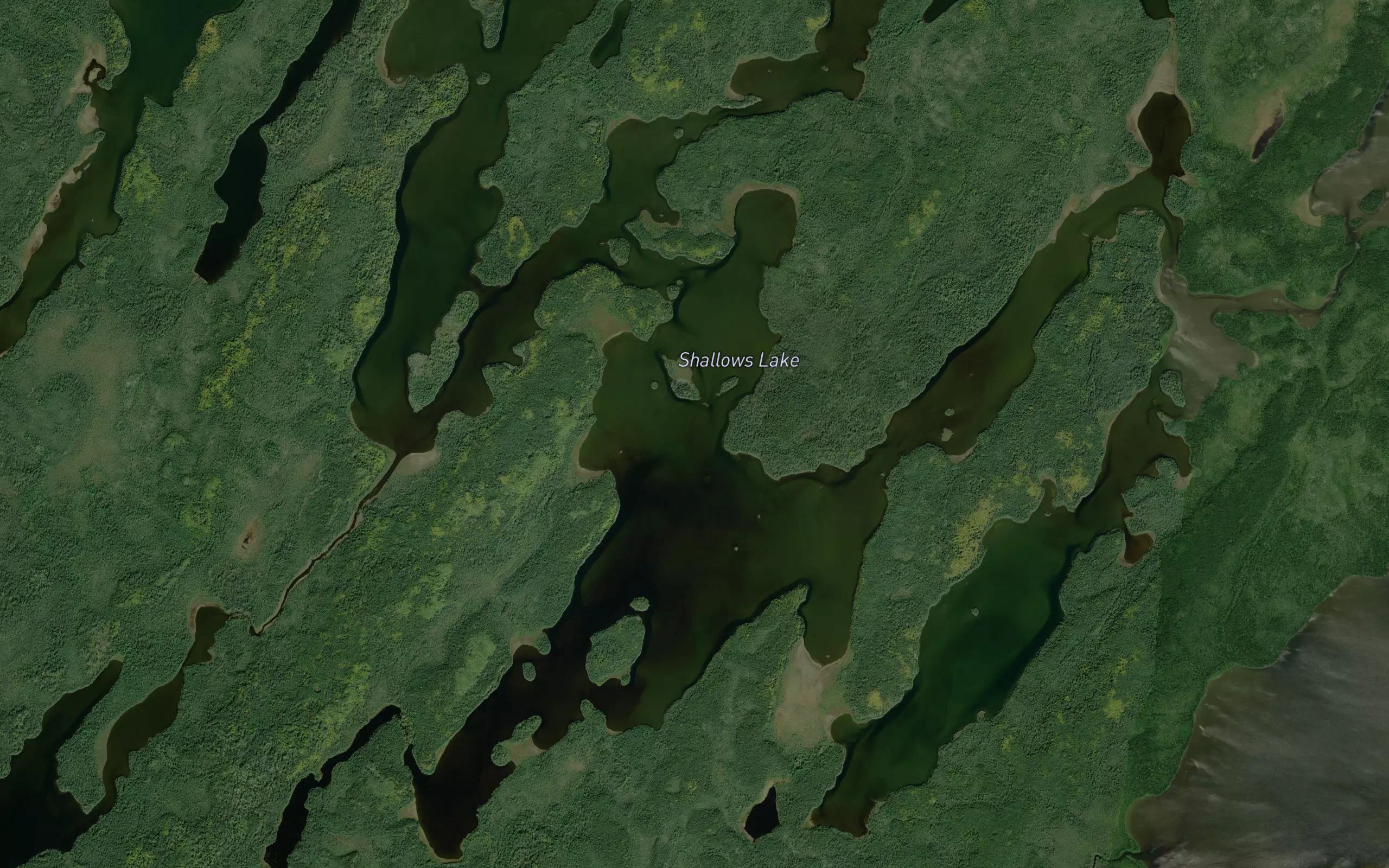 Shallows Lake