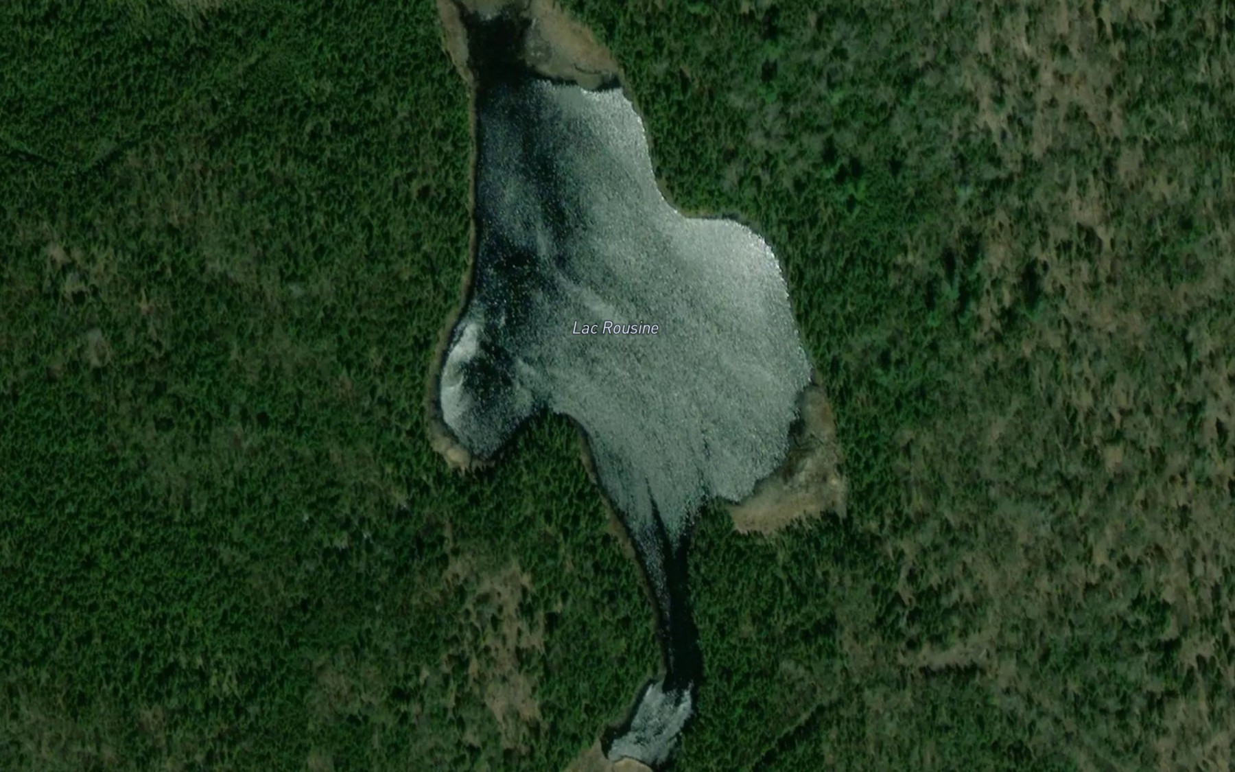 Satellite map of the Lac Rousine