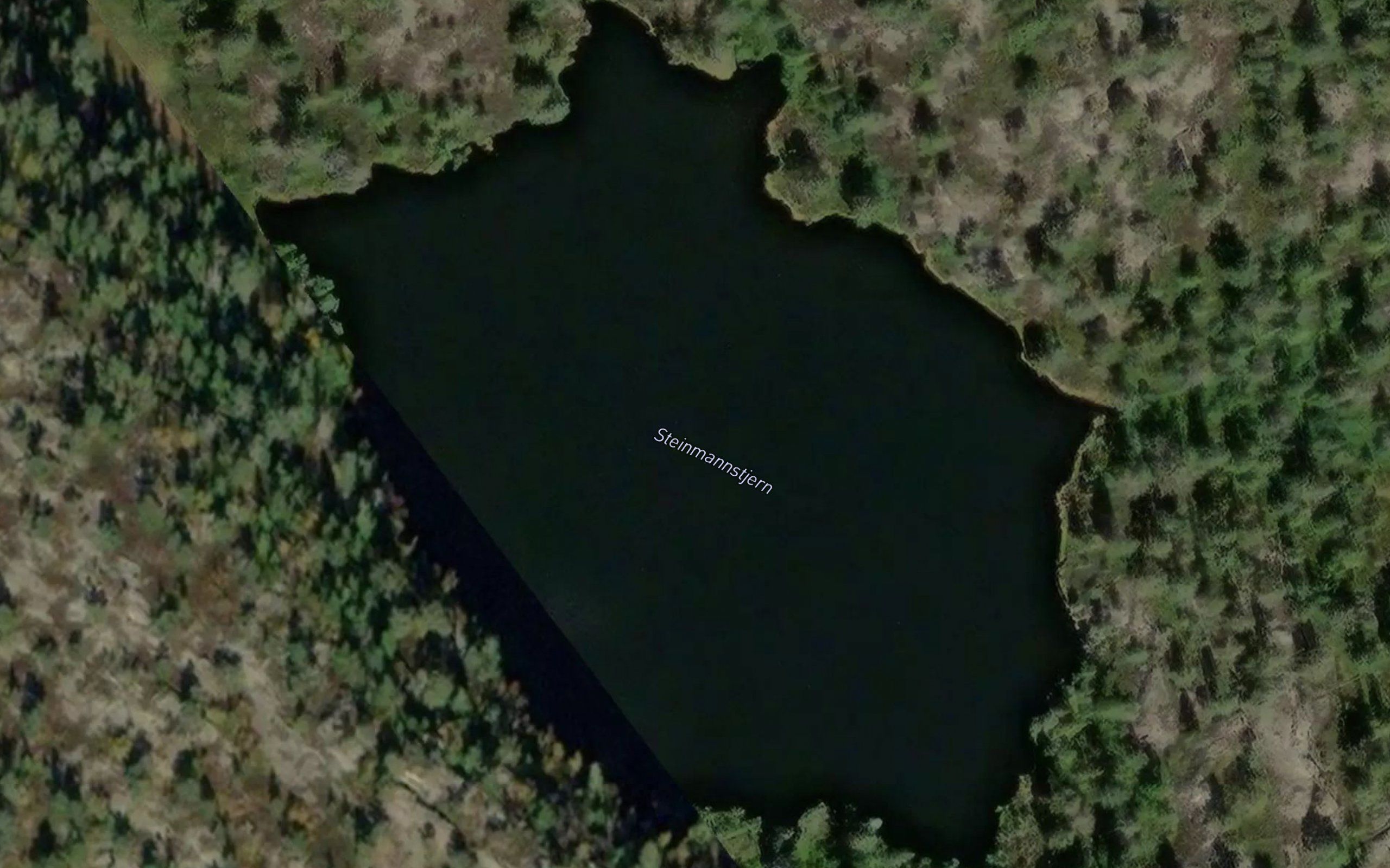 Steinmannstjern