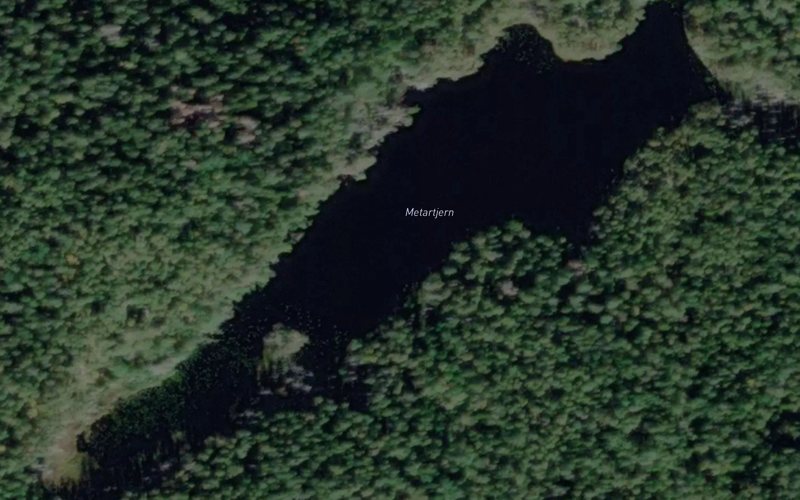 Metartjern