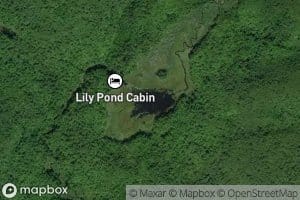 Lily Pond