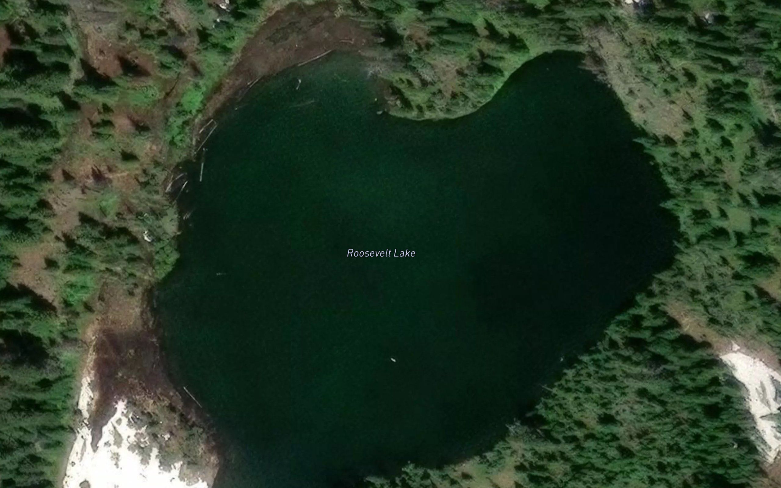 Roosevelt Lake