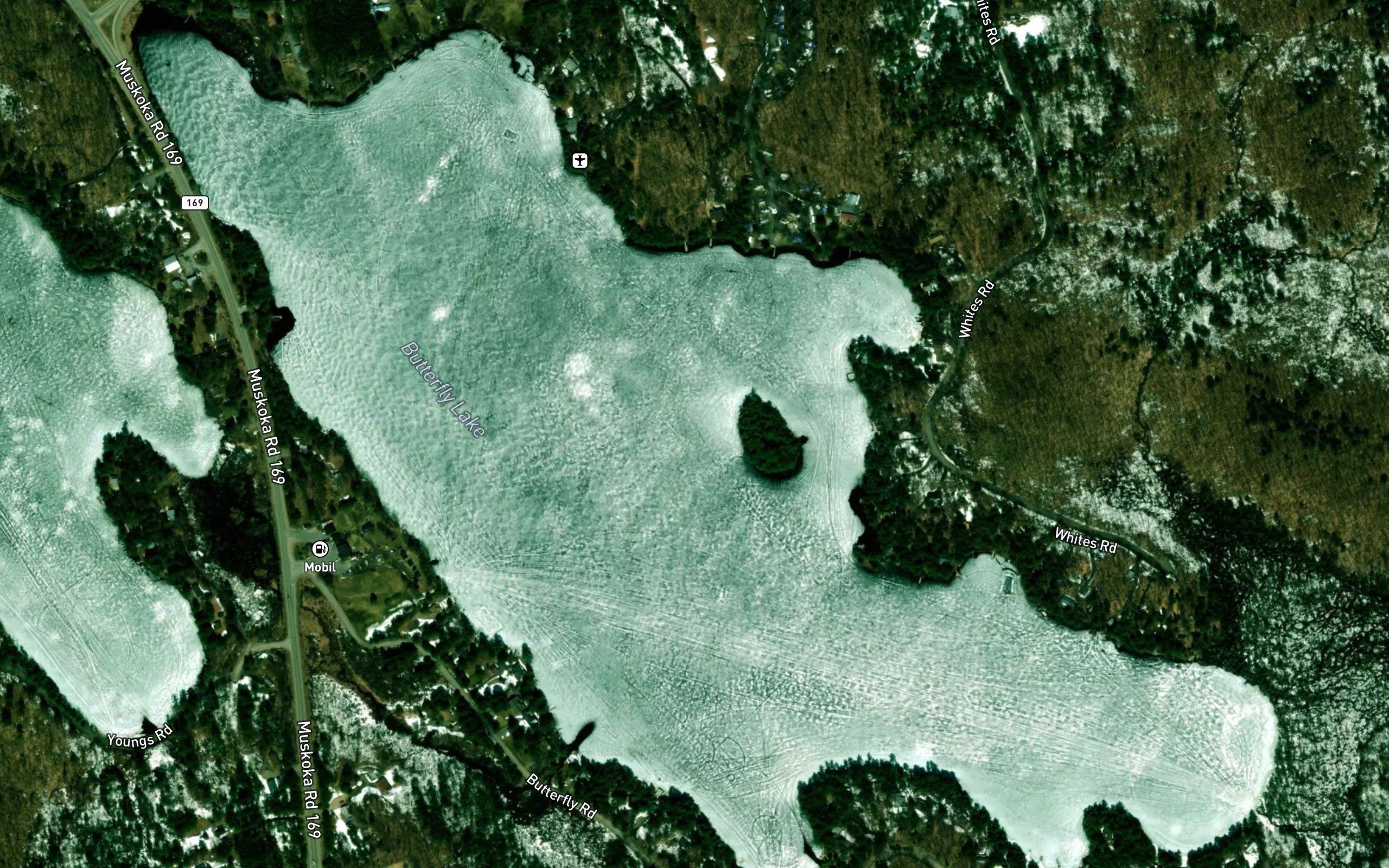 Butterfly Lake
