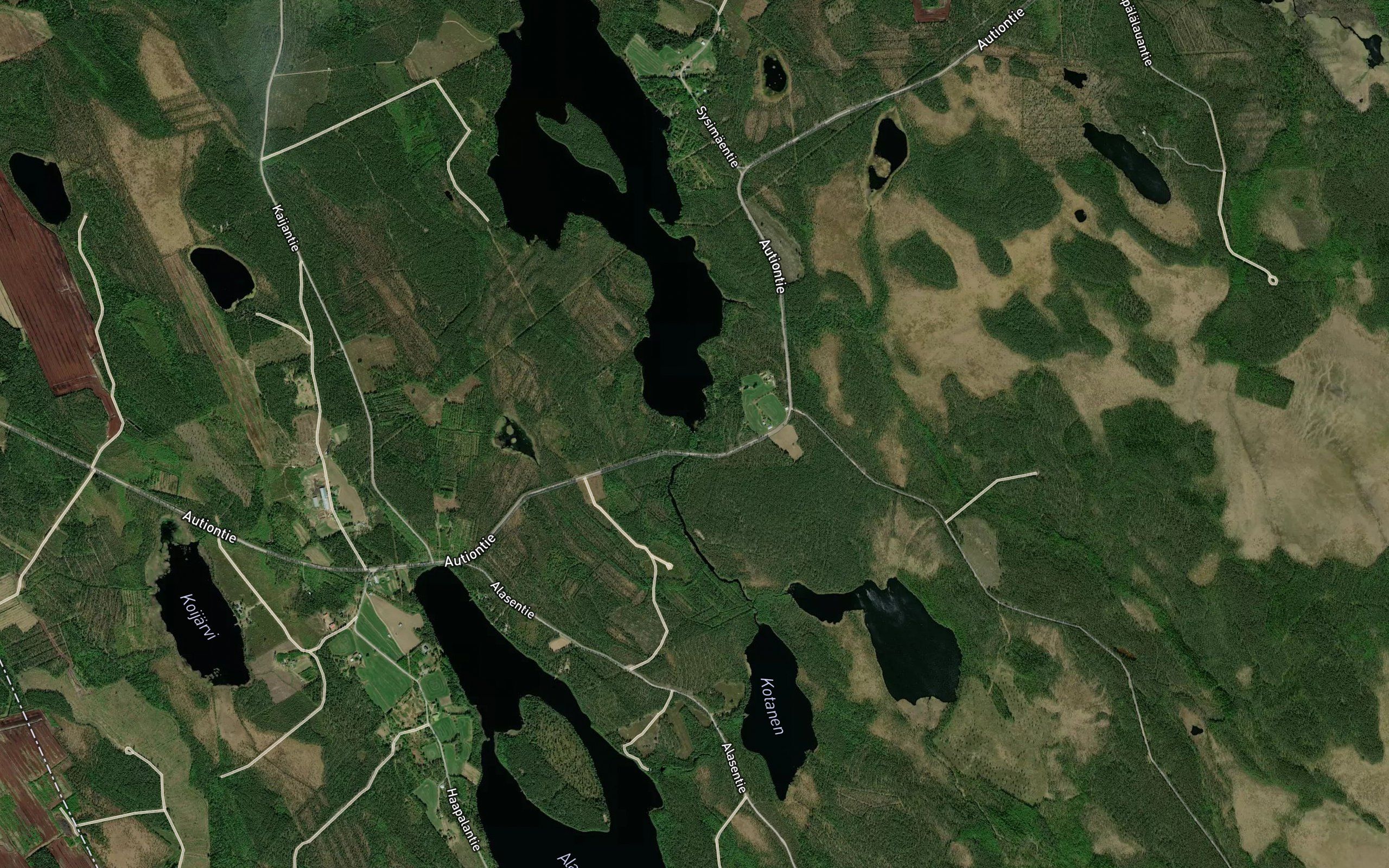 Hautakankaanjoki