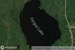 Fergus Lake