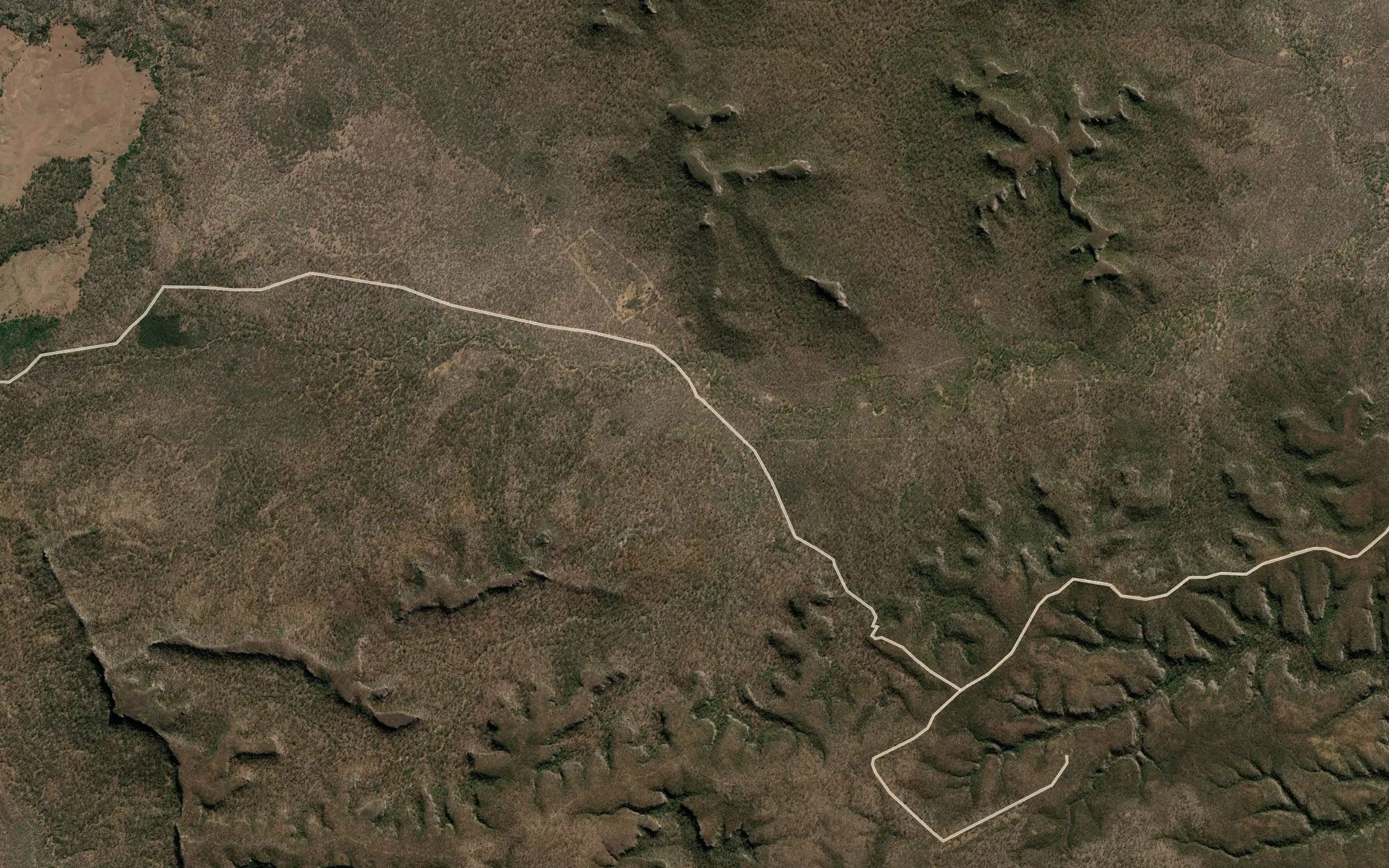 Zamia Gully