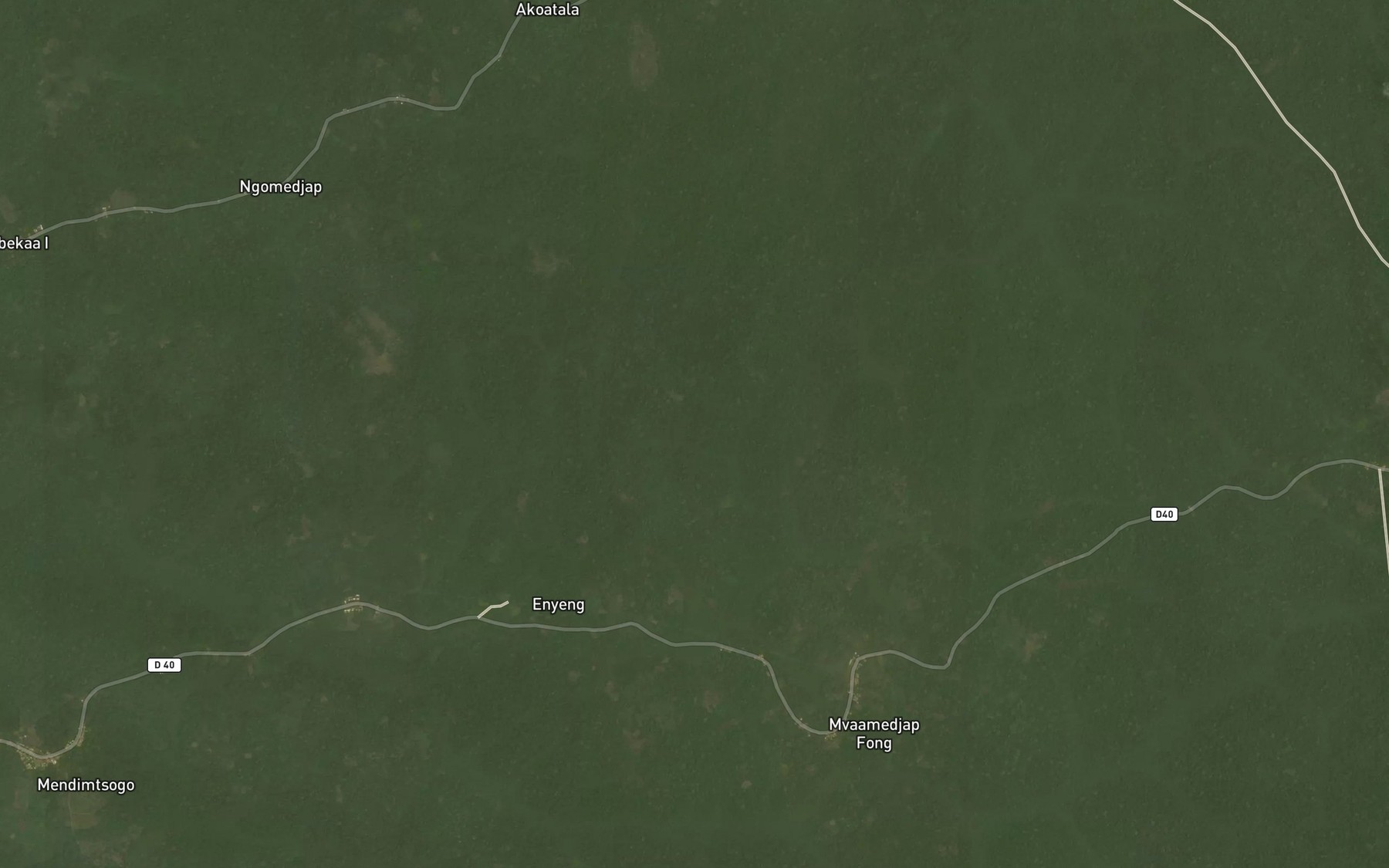 Satellite map of the Founou