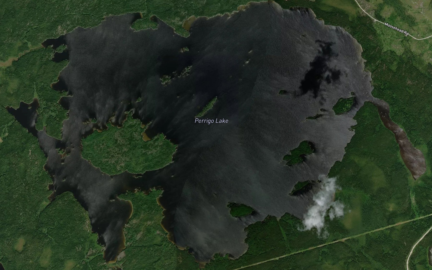 Satellite map of the Perrigo Lake