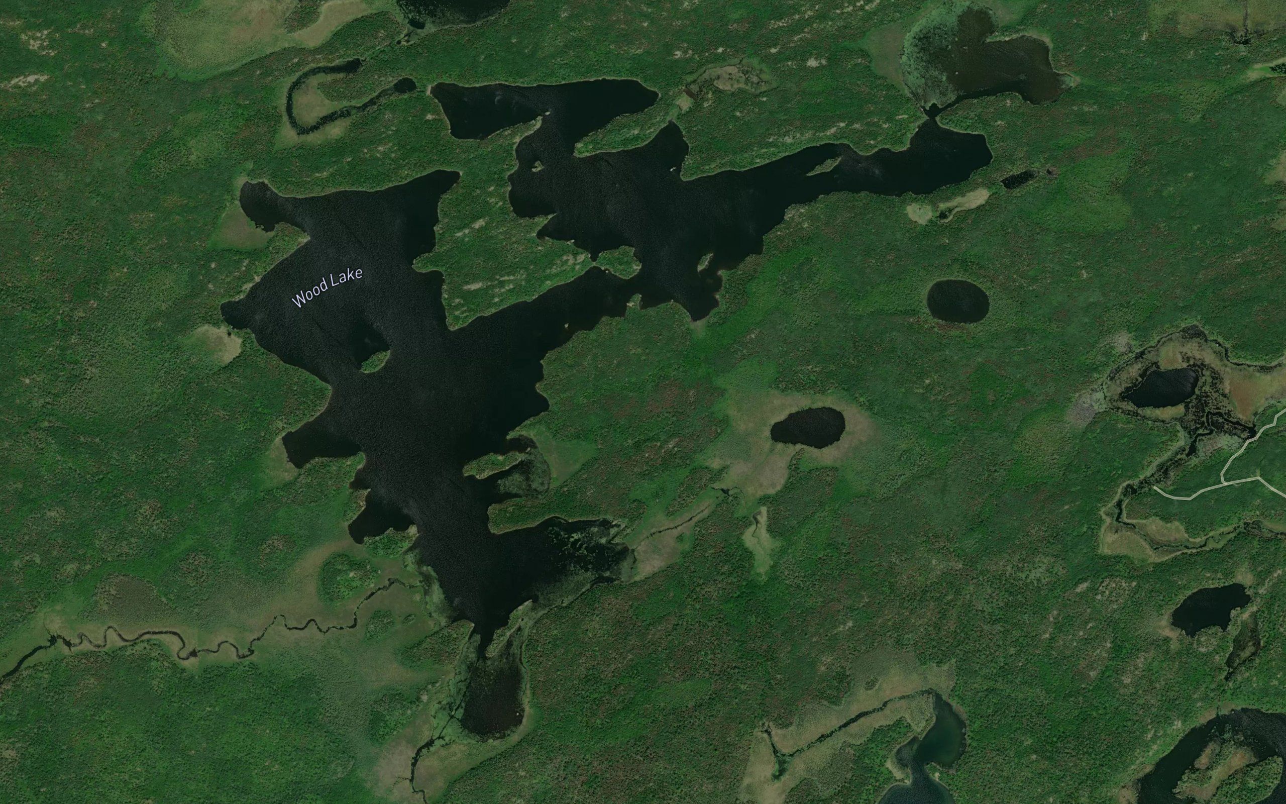 Wood Lake