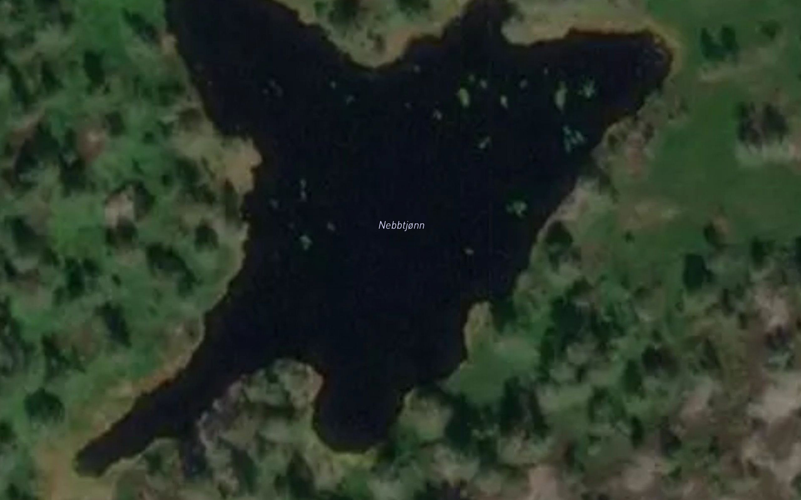 Nebbtjonn
