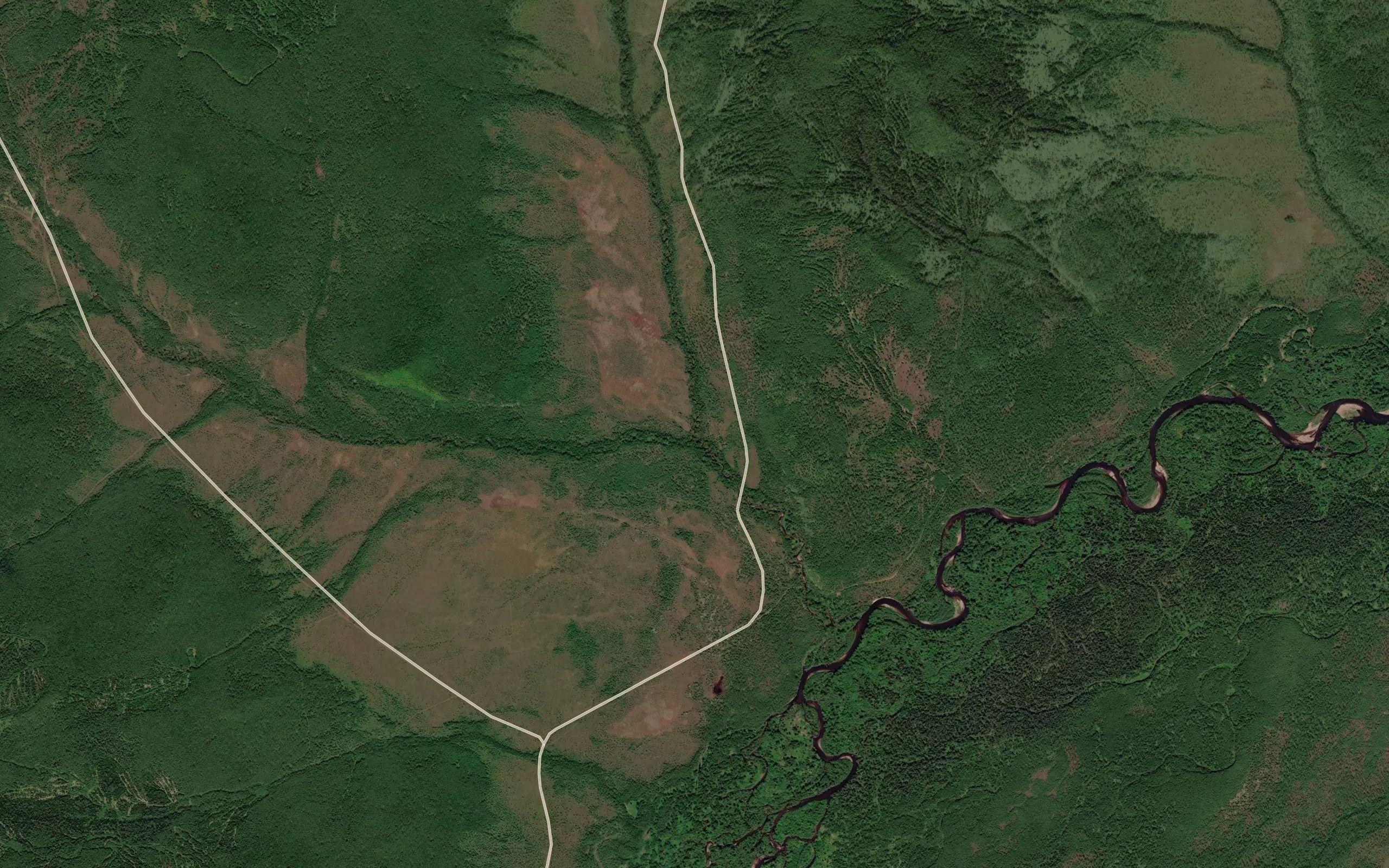 Uchama