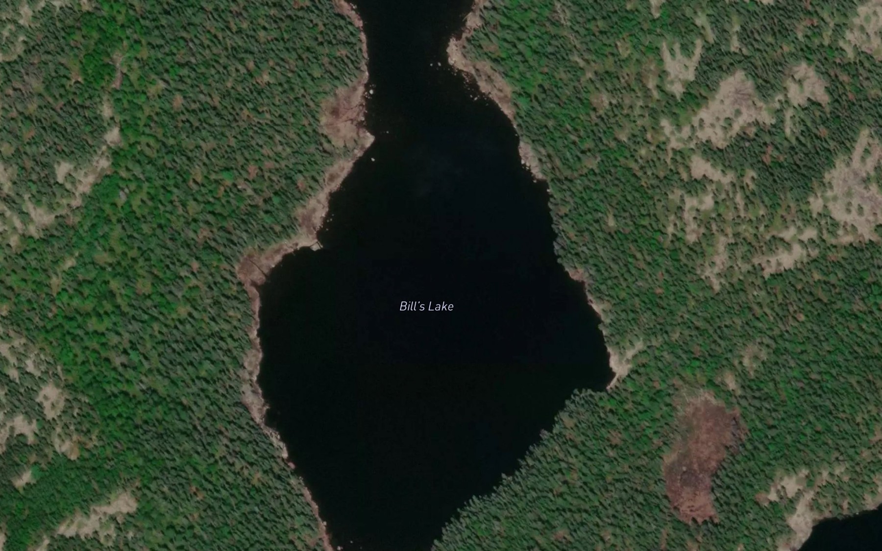 Satellite map of the Bill's Lake