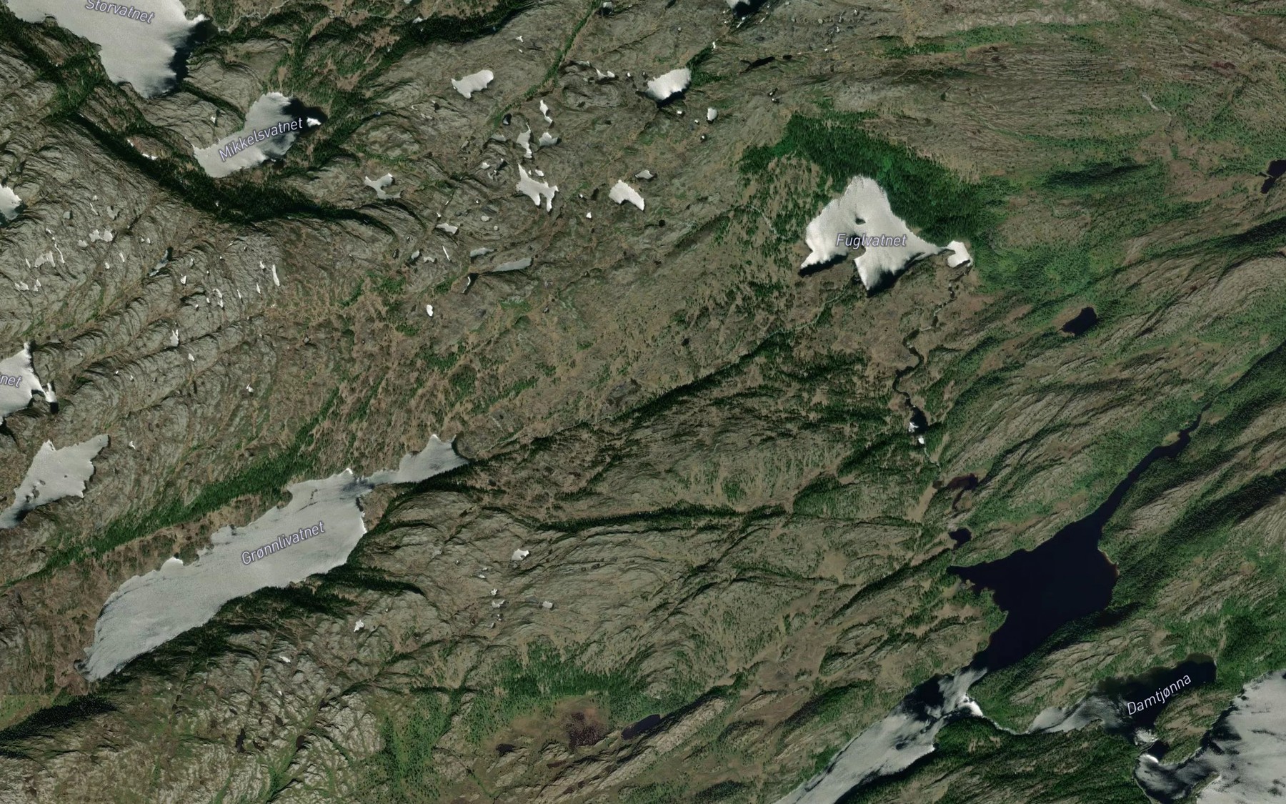 Satellite map of the Gronlivasselva