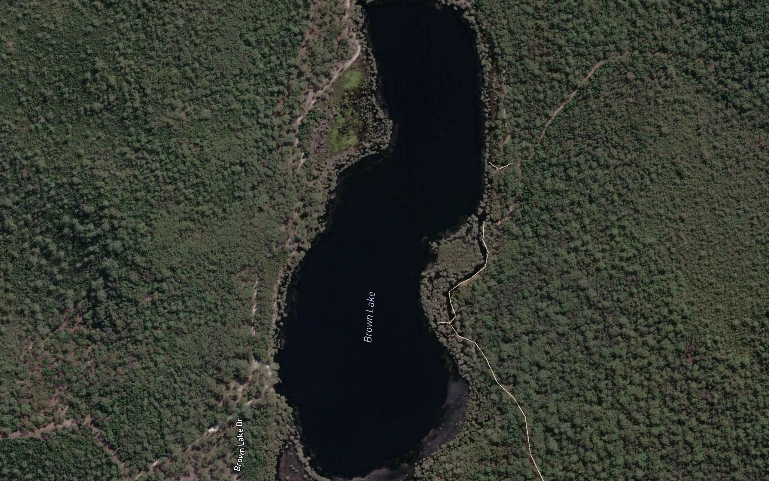Brown Lake