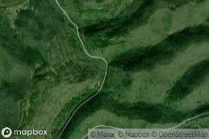 Sugar Camp Branch