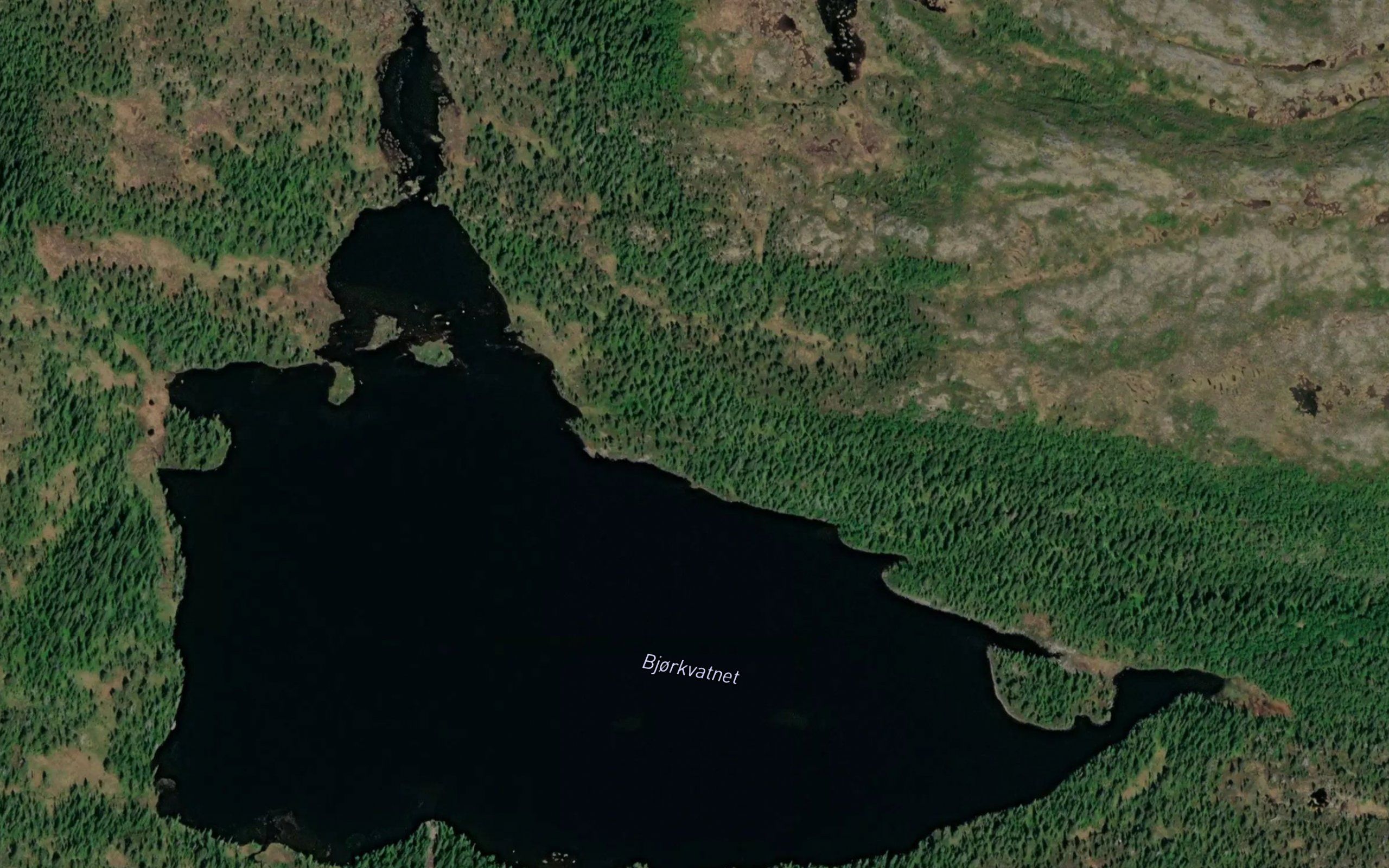 Stor - Bjorkvatnet