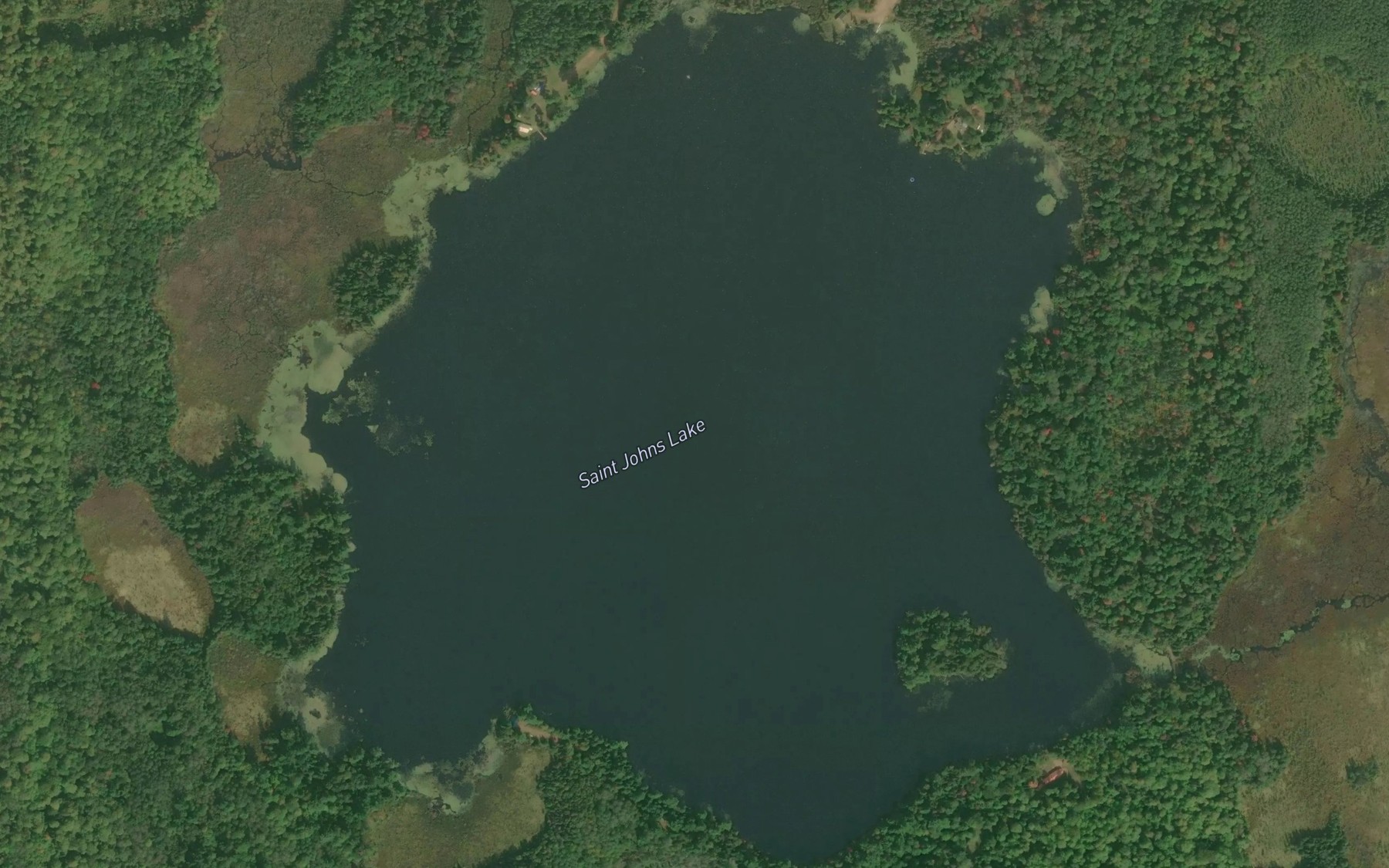 Satellite map of the Saint Johns Lake