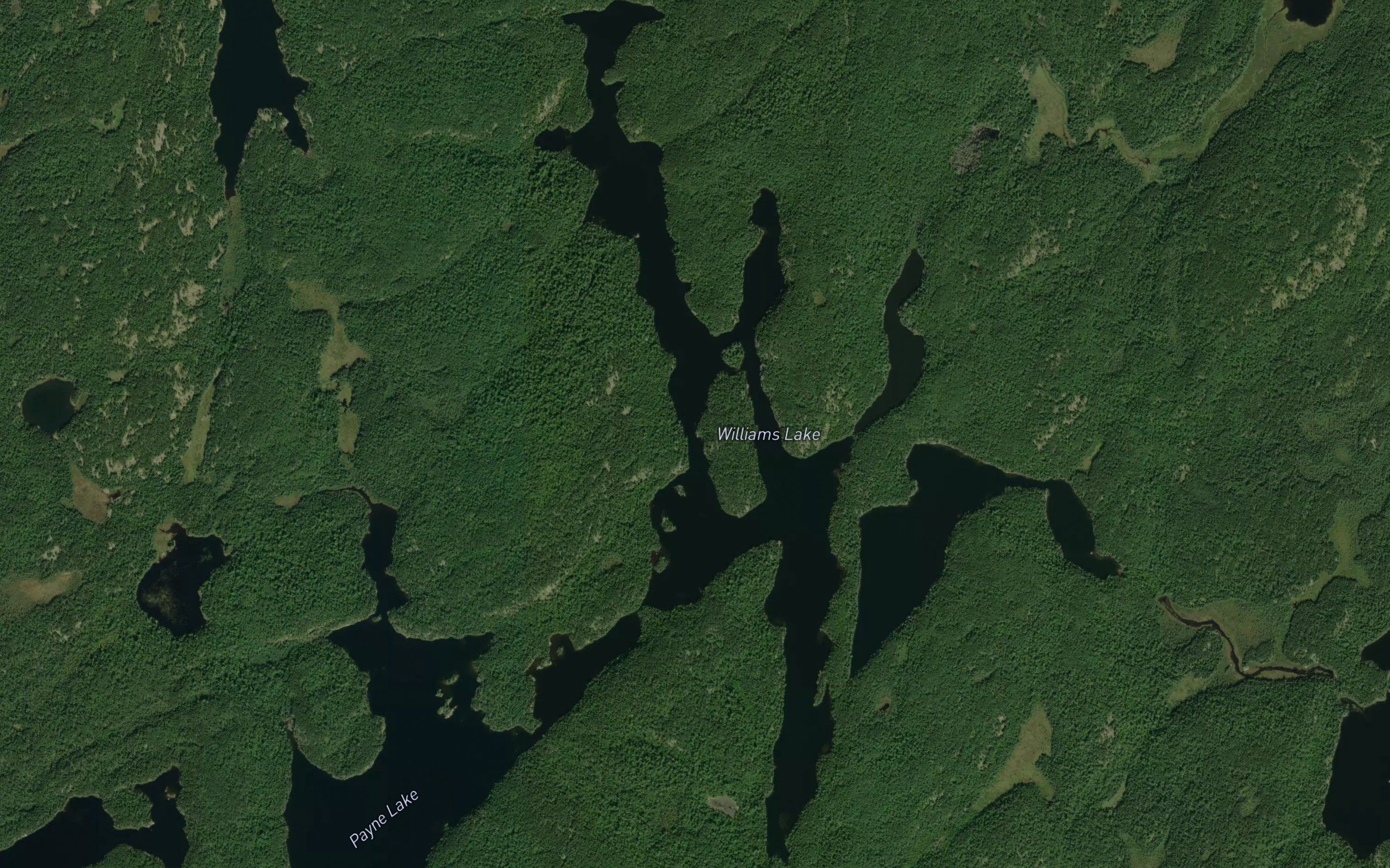 Williams Lake