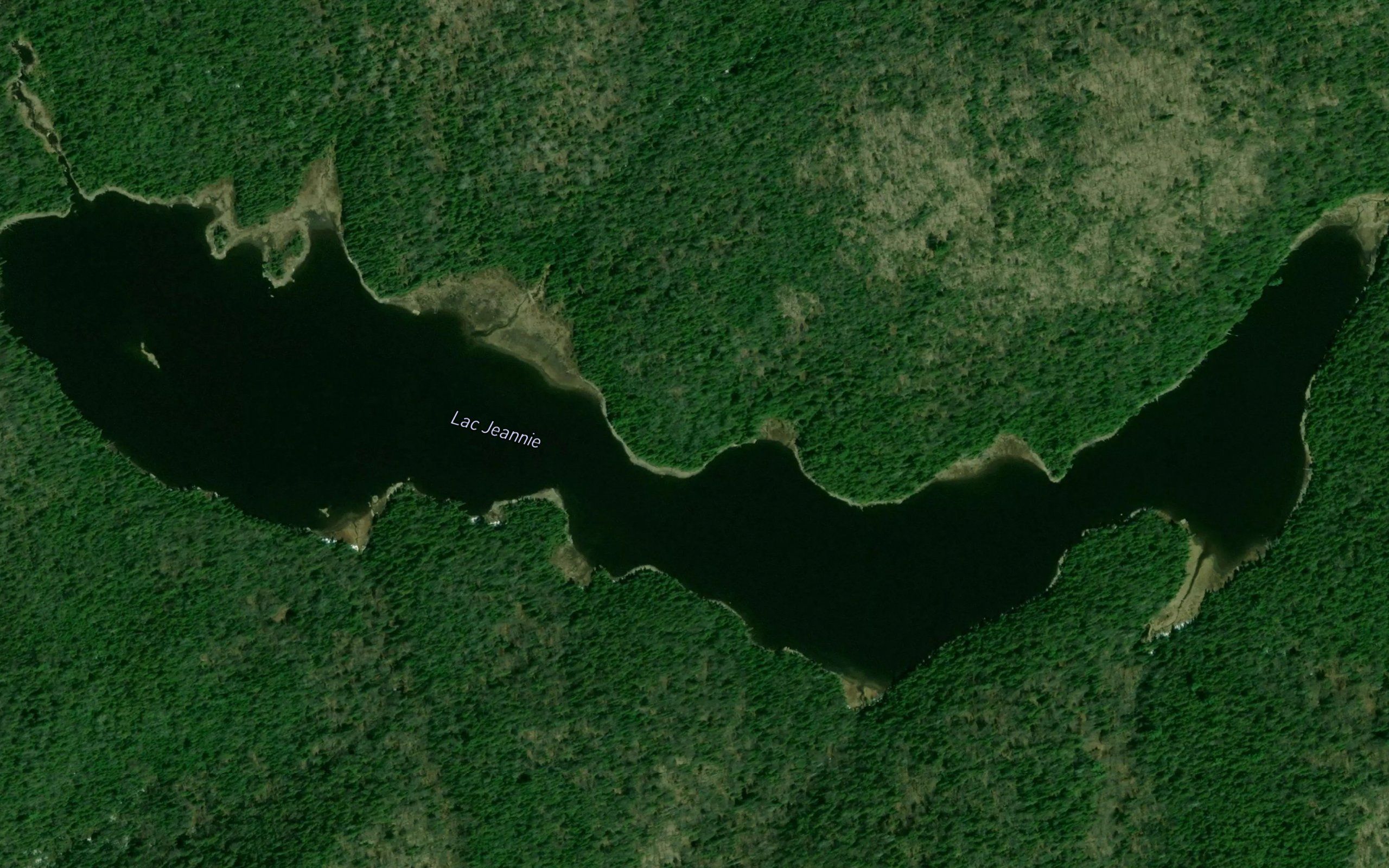 Lac Jeannie