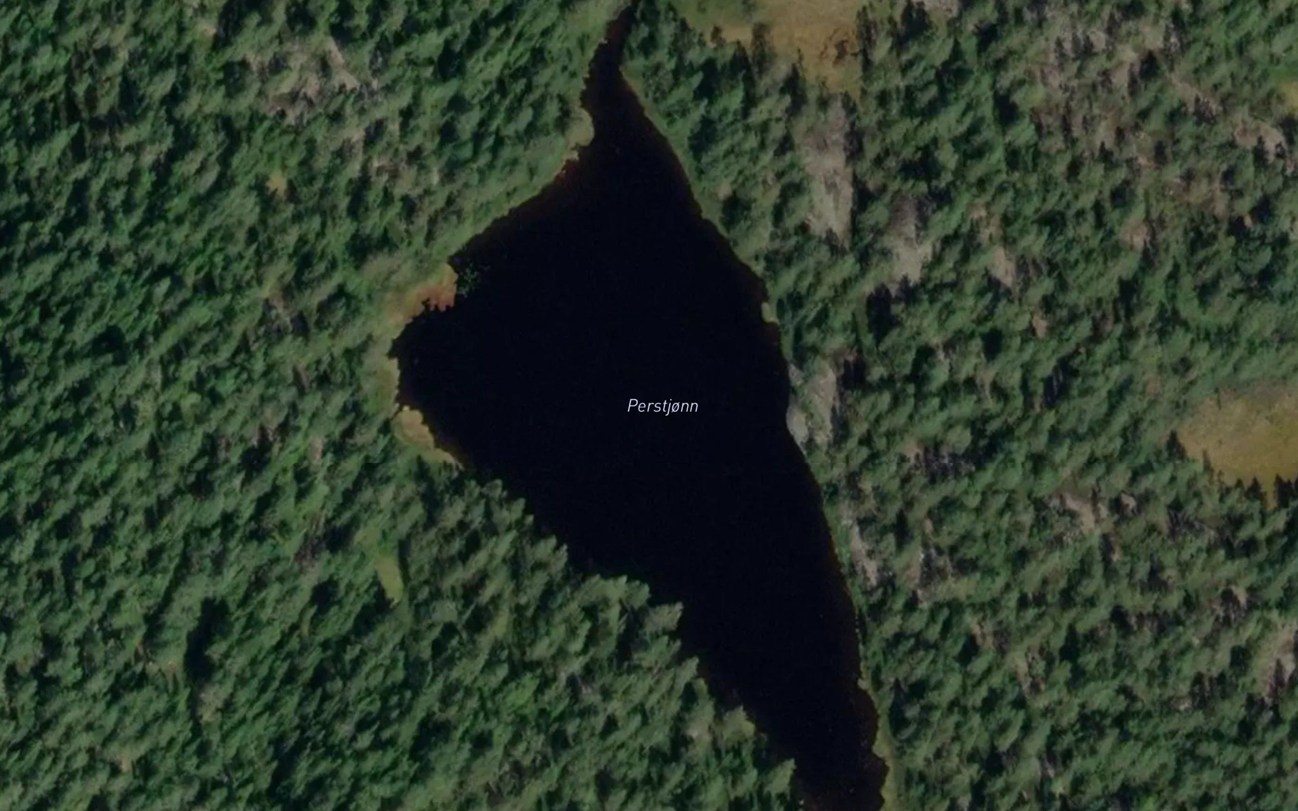 Perstjonn
