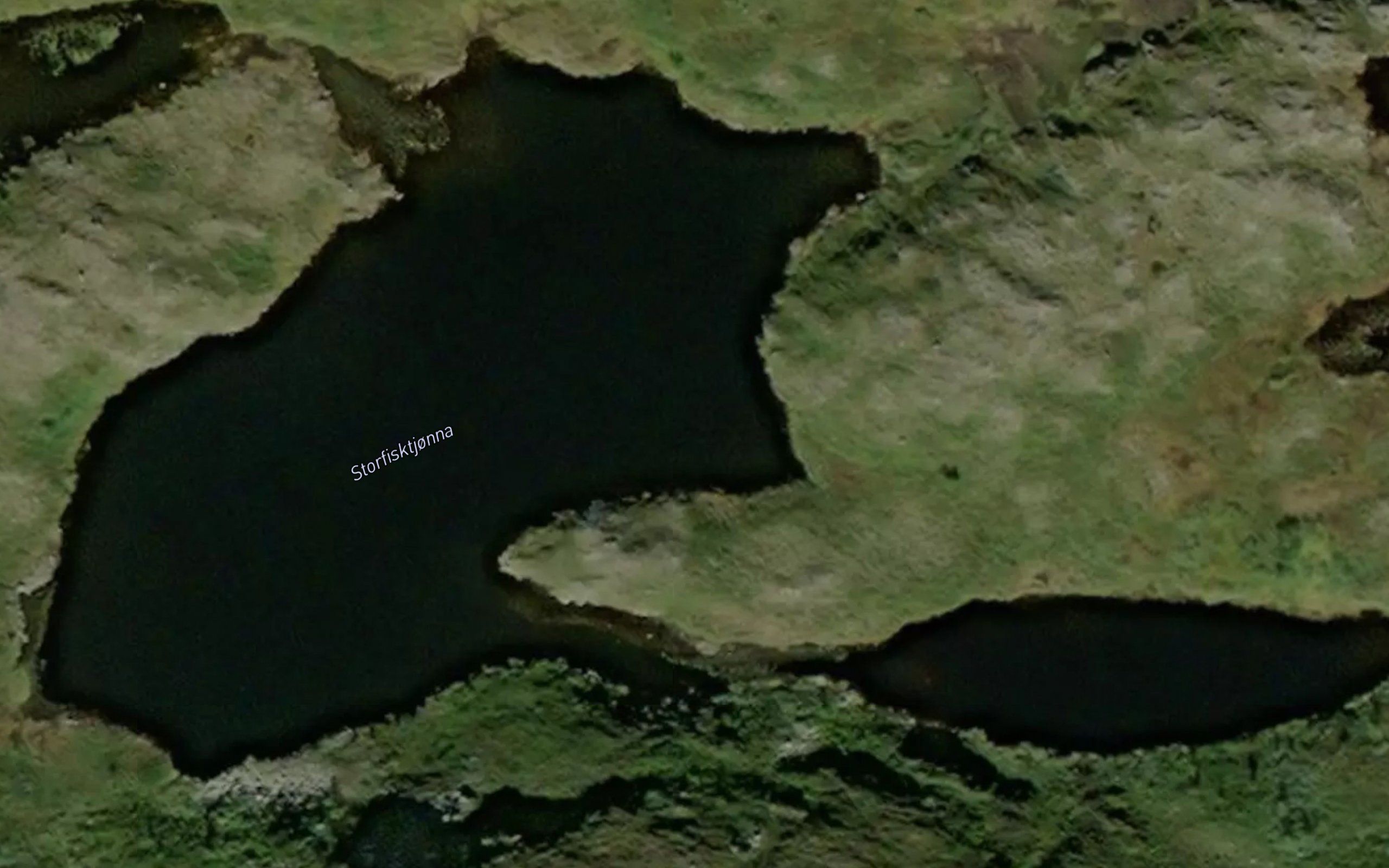 Storfisktjorna