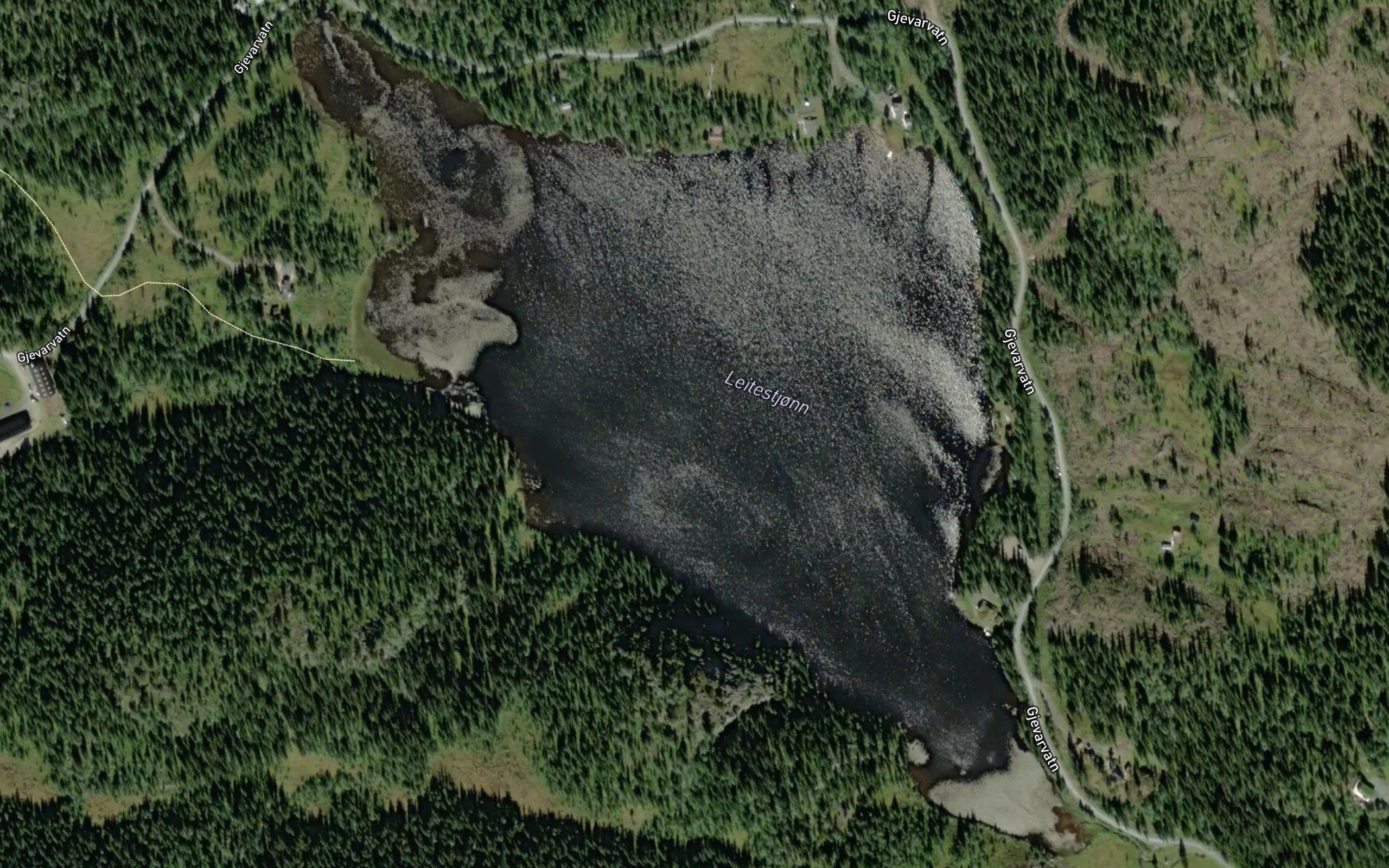 Leitestjonn