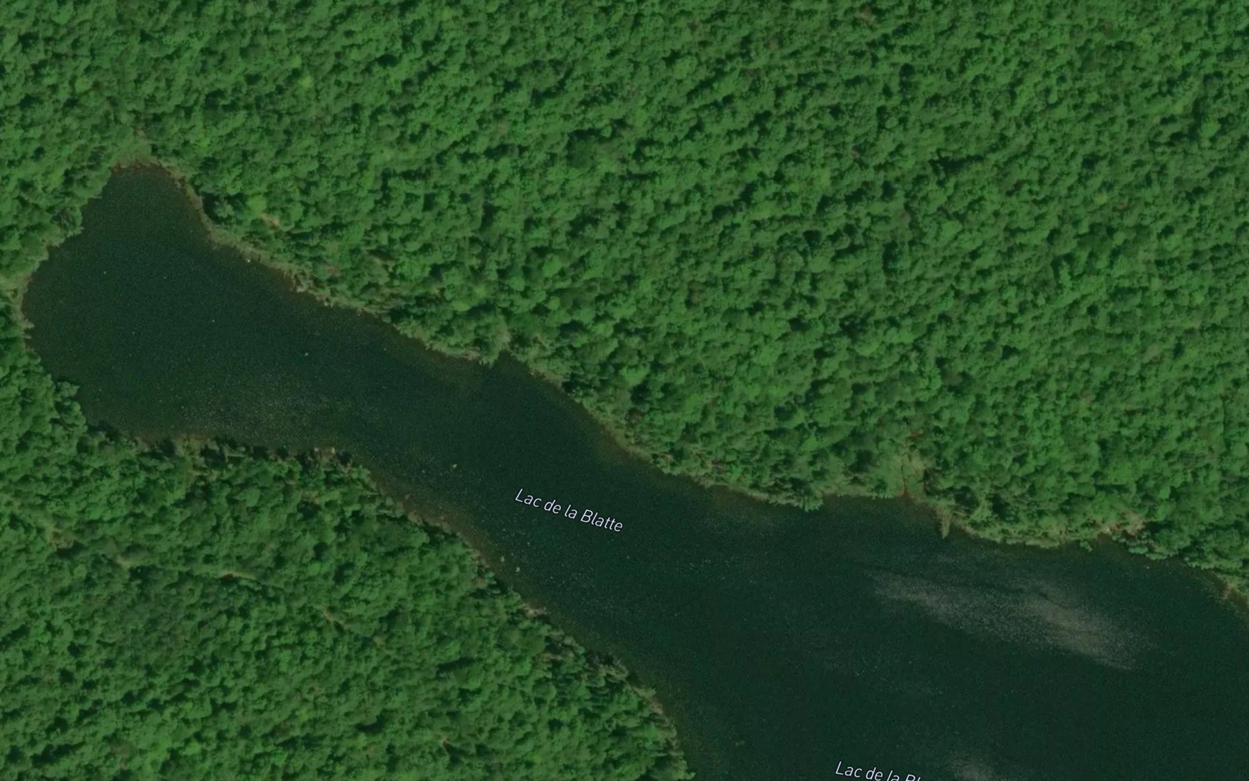 Satellite map of the Lac de la Blatte