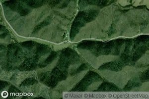 Steer Fork