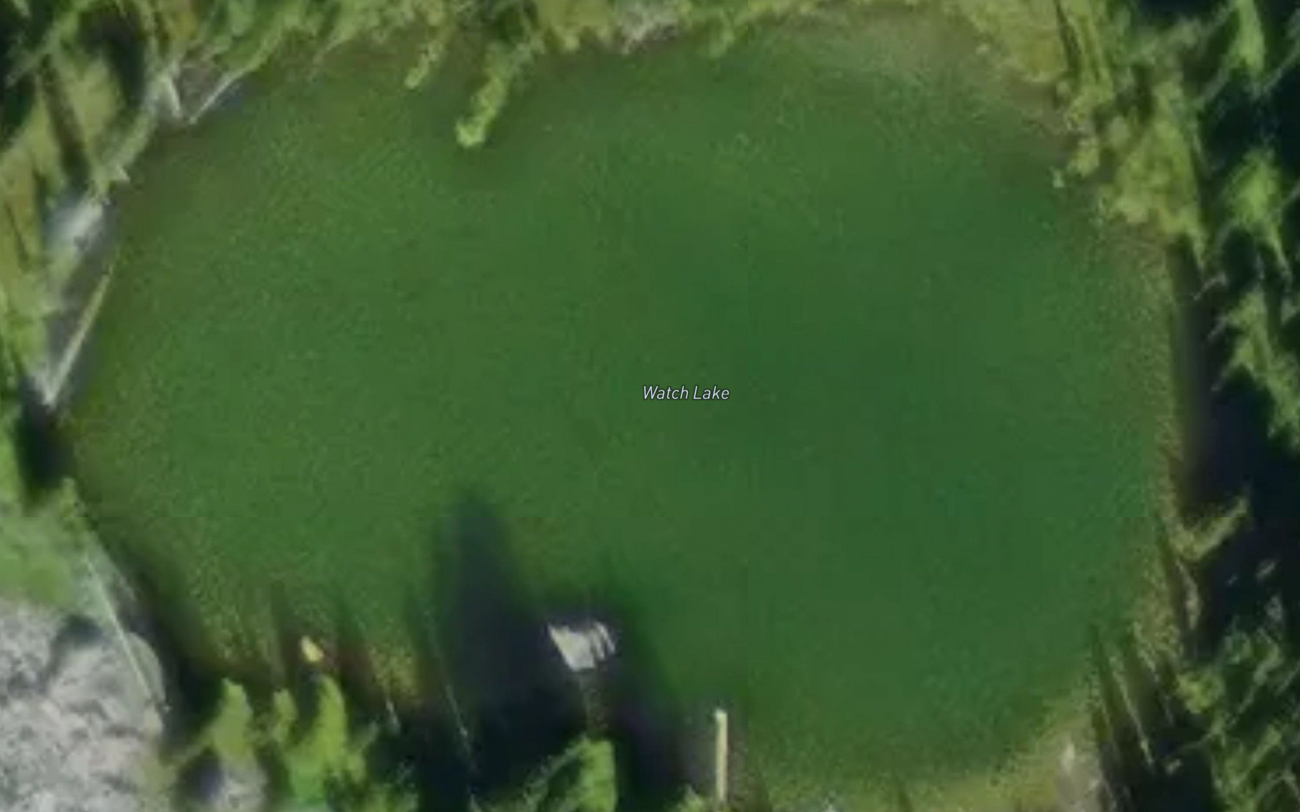 Watch Lake