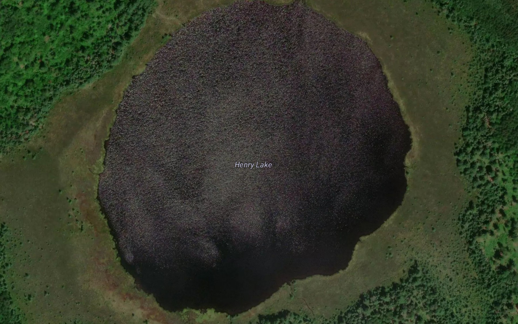 Satellite map of the Henry Lake