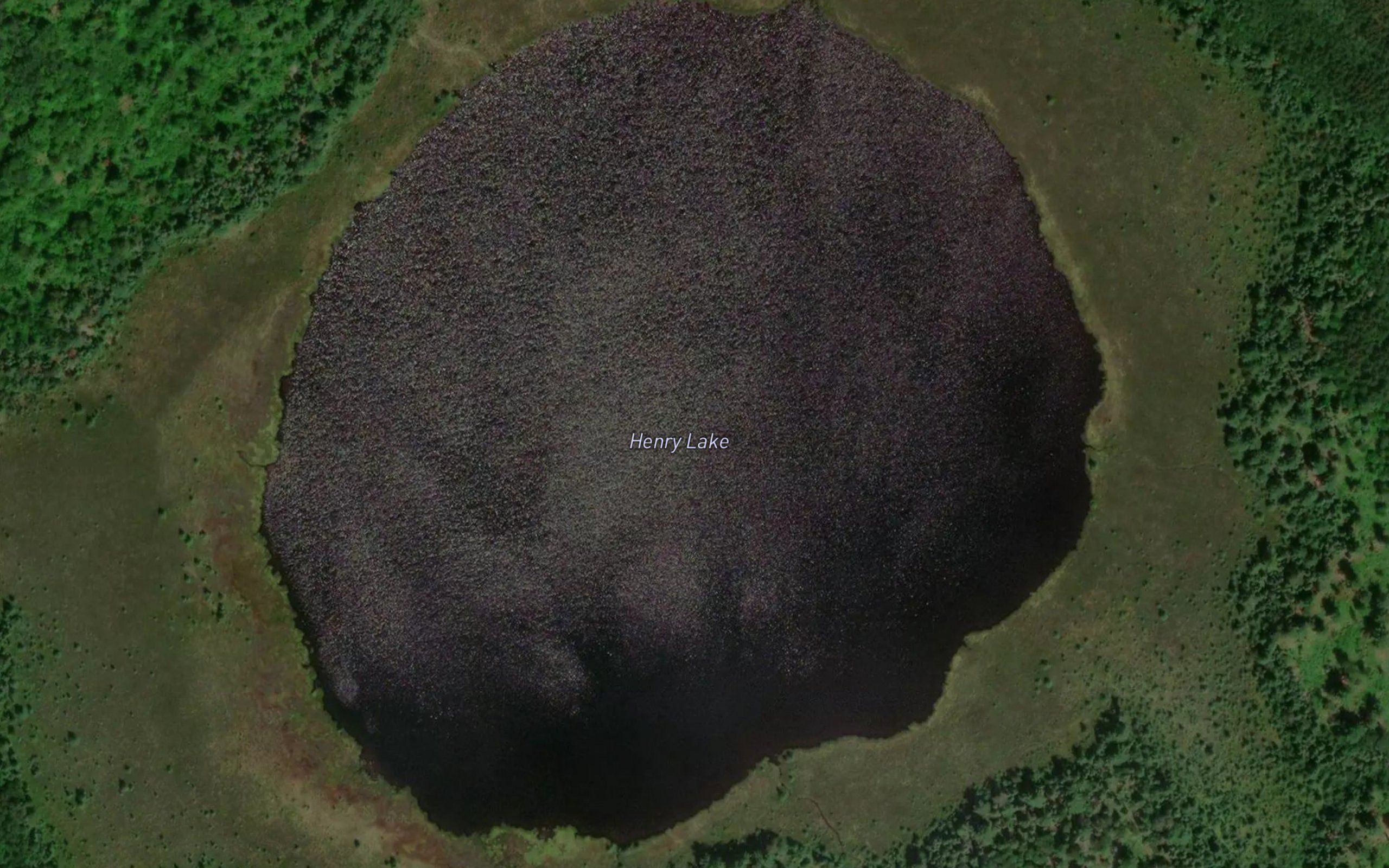 Henry Lake