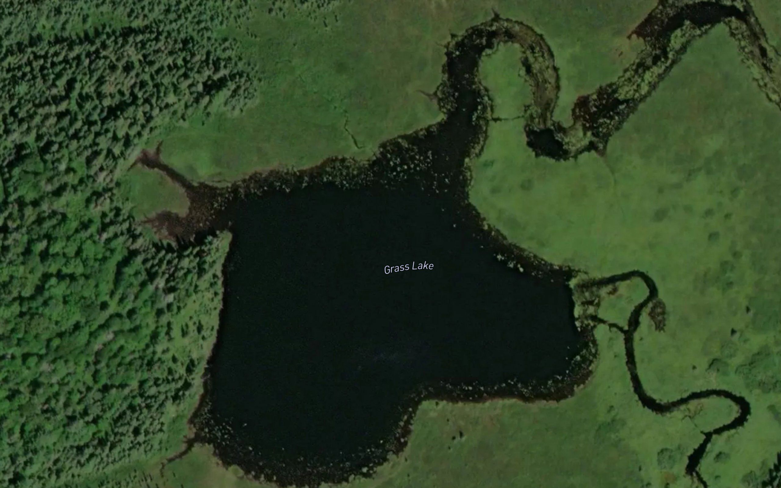 Grass Lake