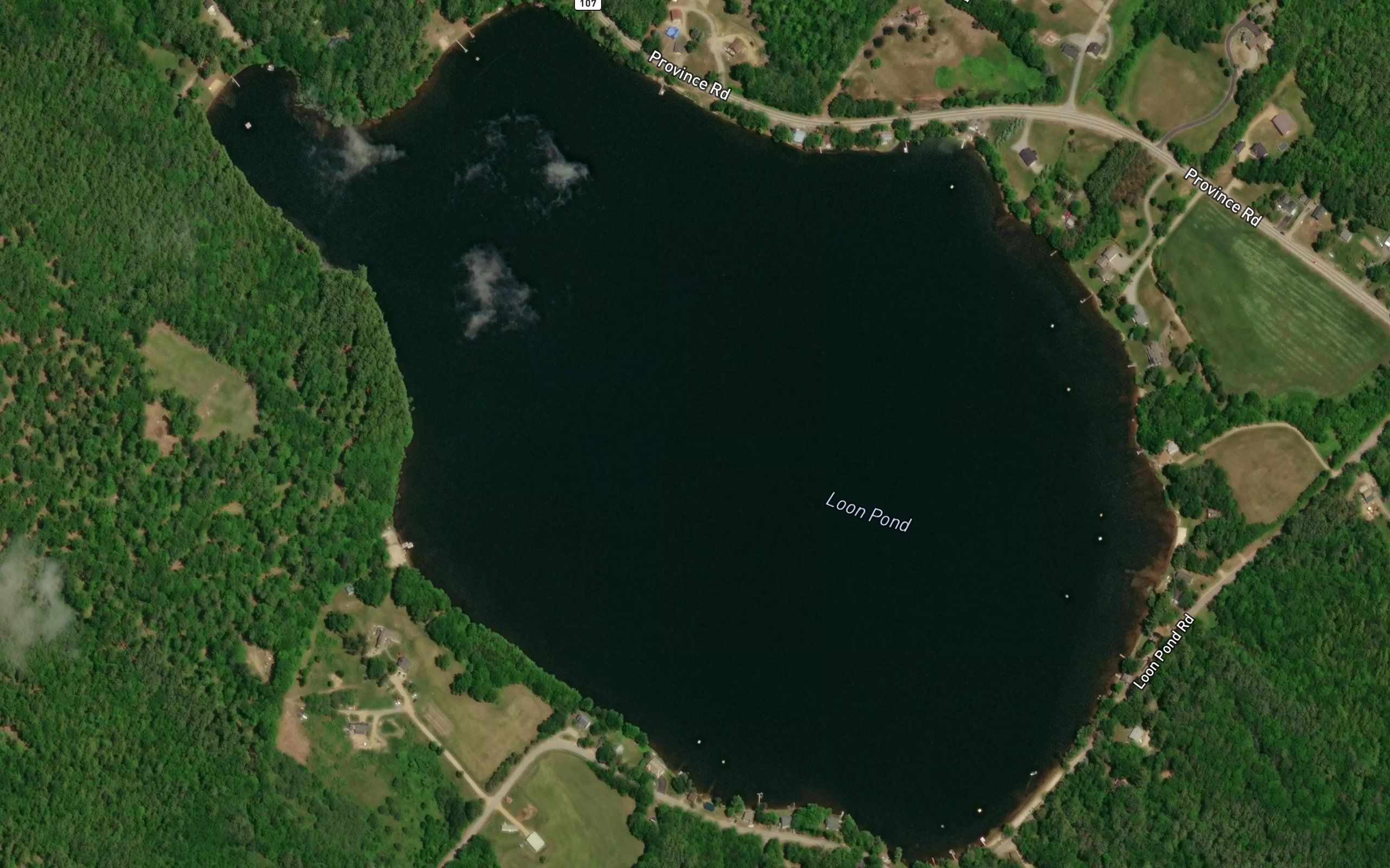 Loon Pond