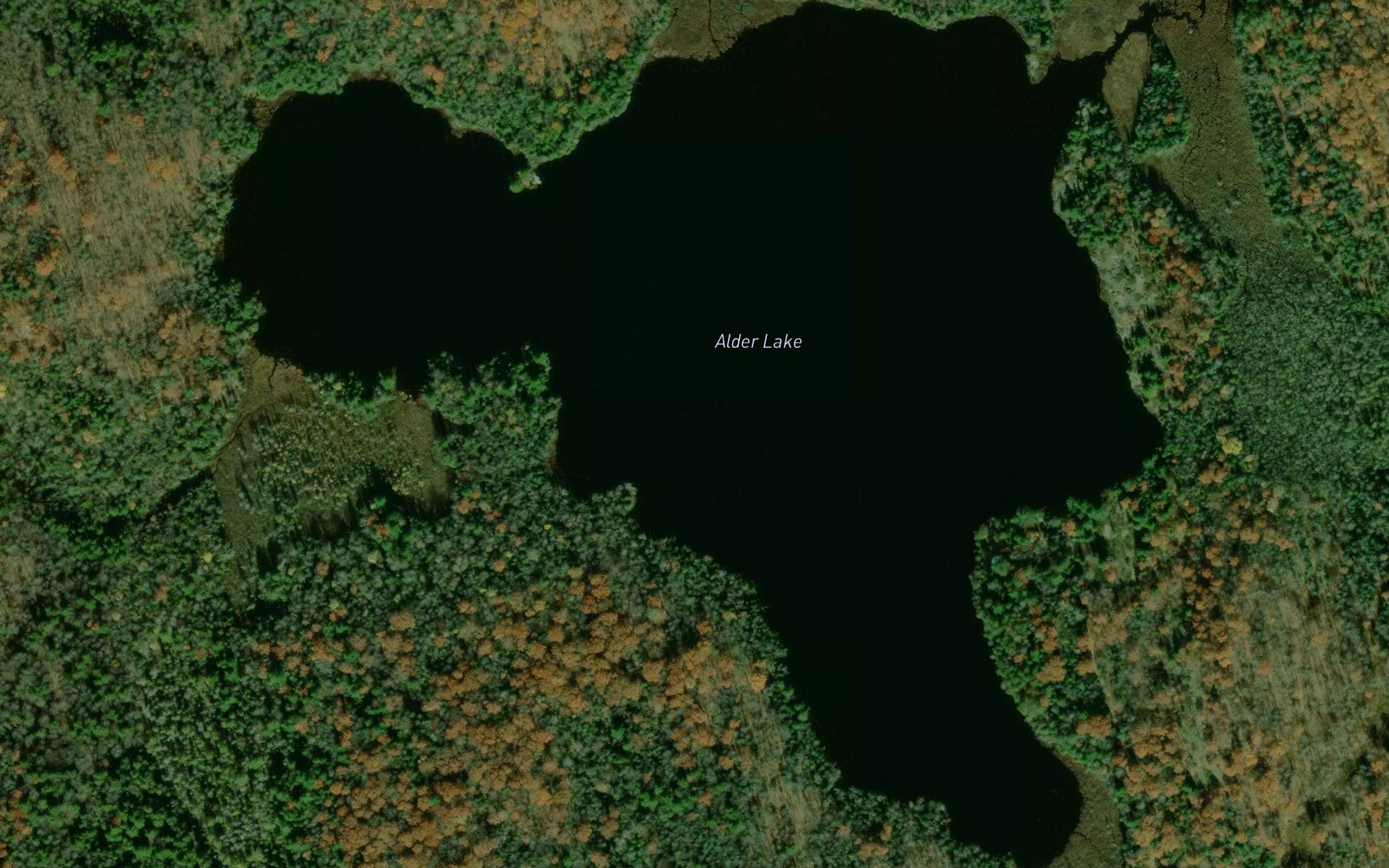 Alder Lake