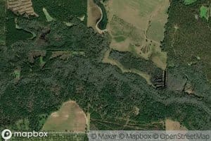 Mule Creek