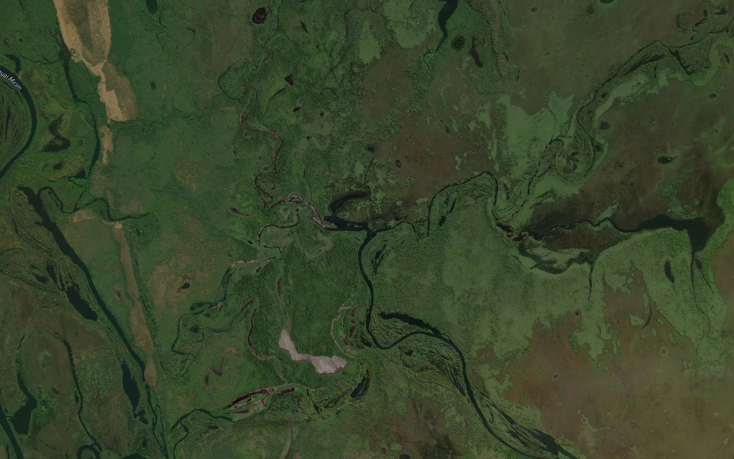 Rio Negro