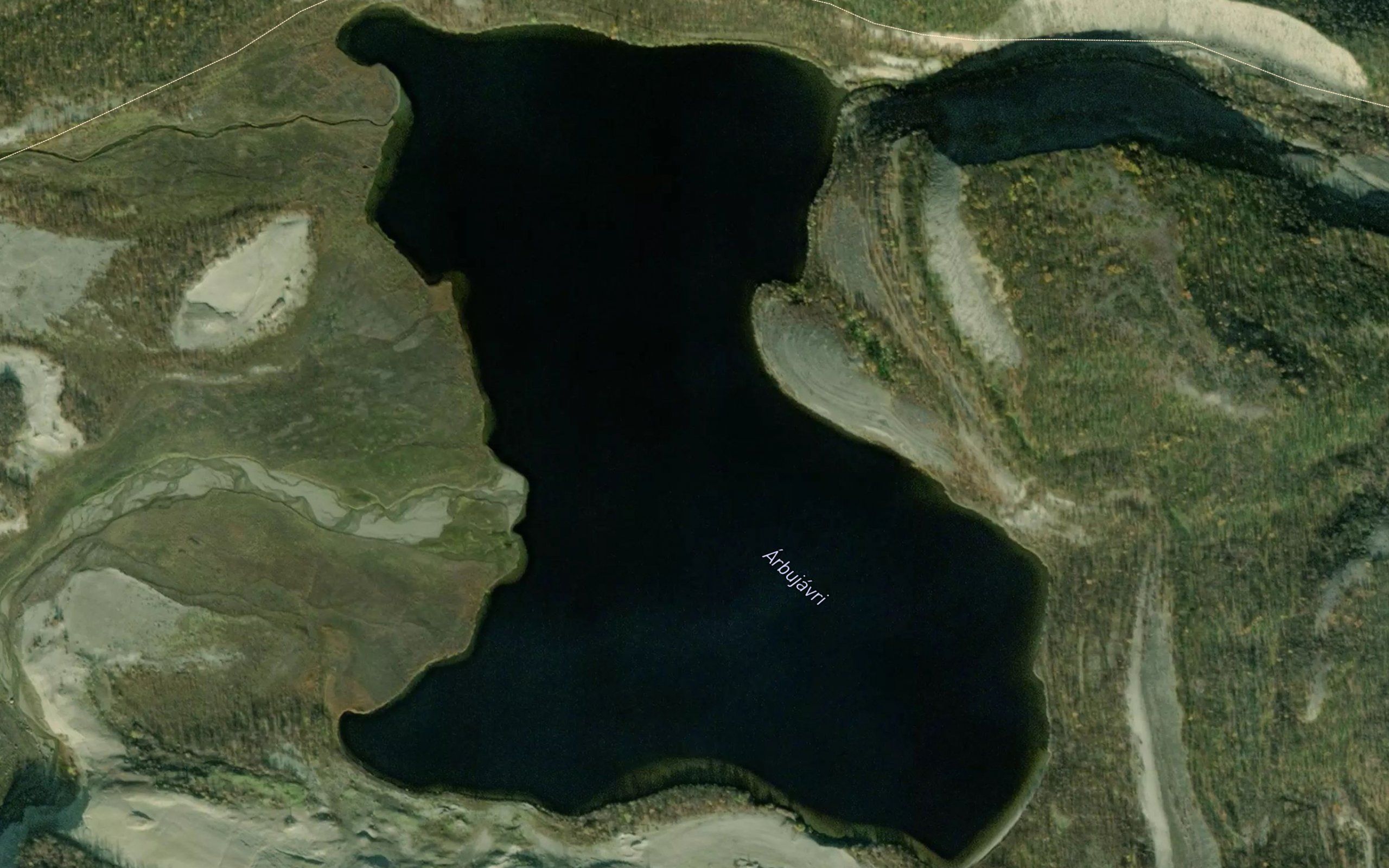 Arbujavri
