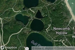 Higgins Pond