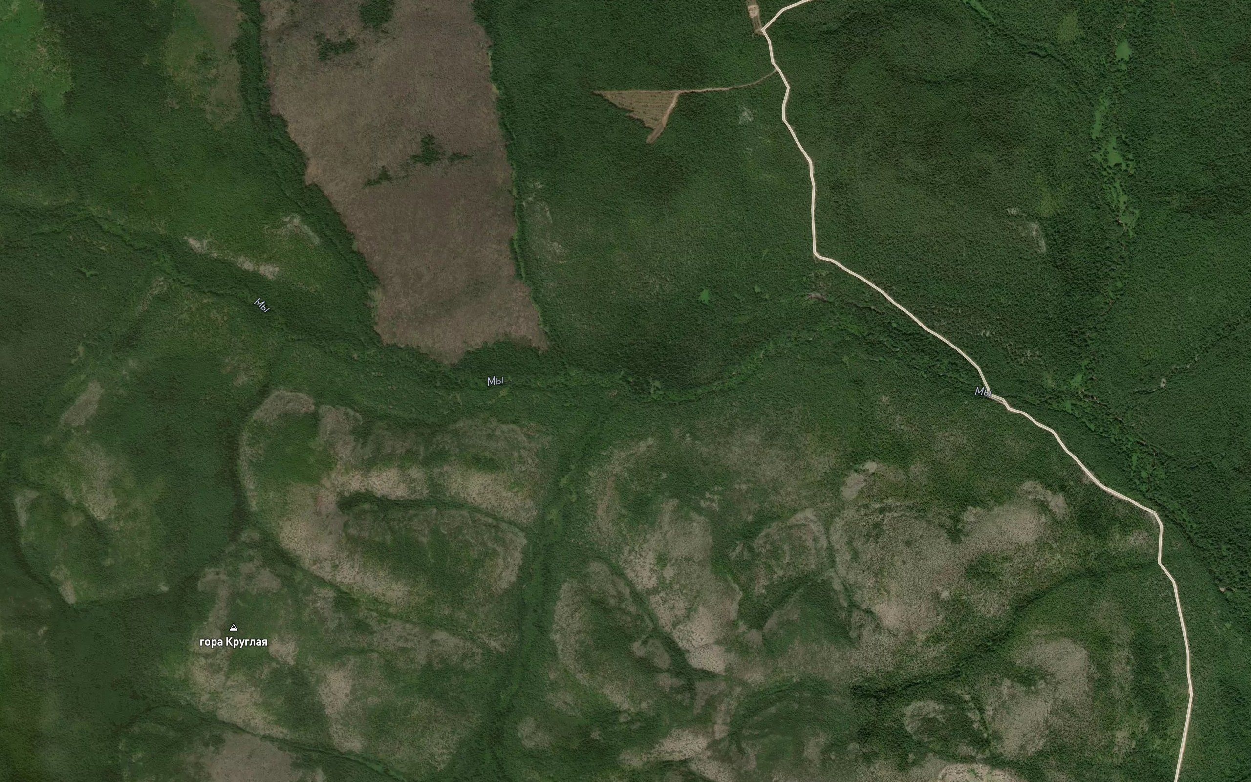 Yagodnyy