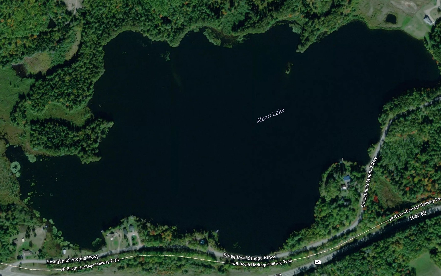 Satellite map of the Albert Lake