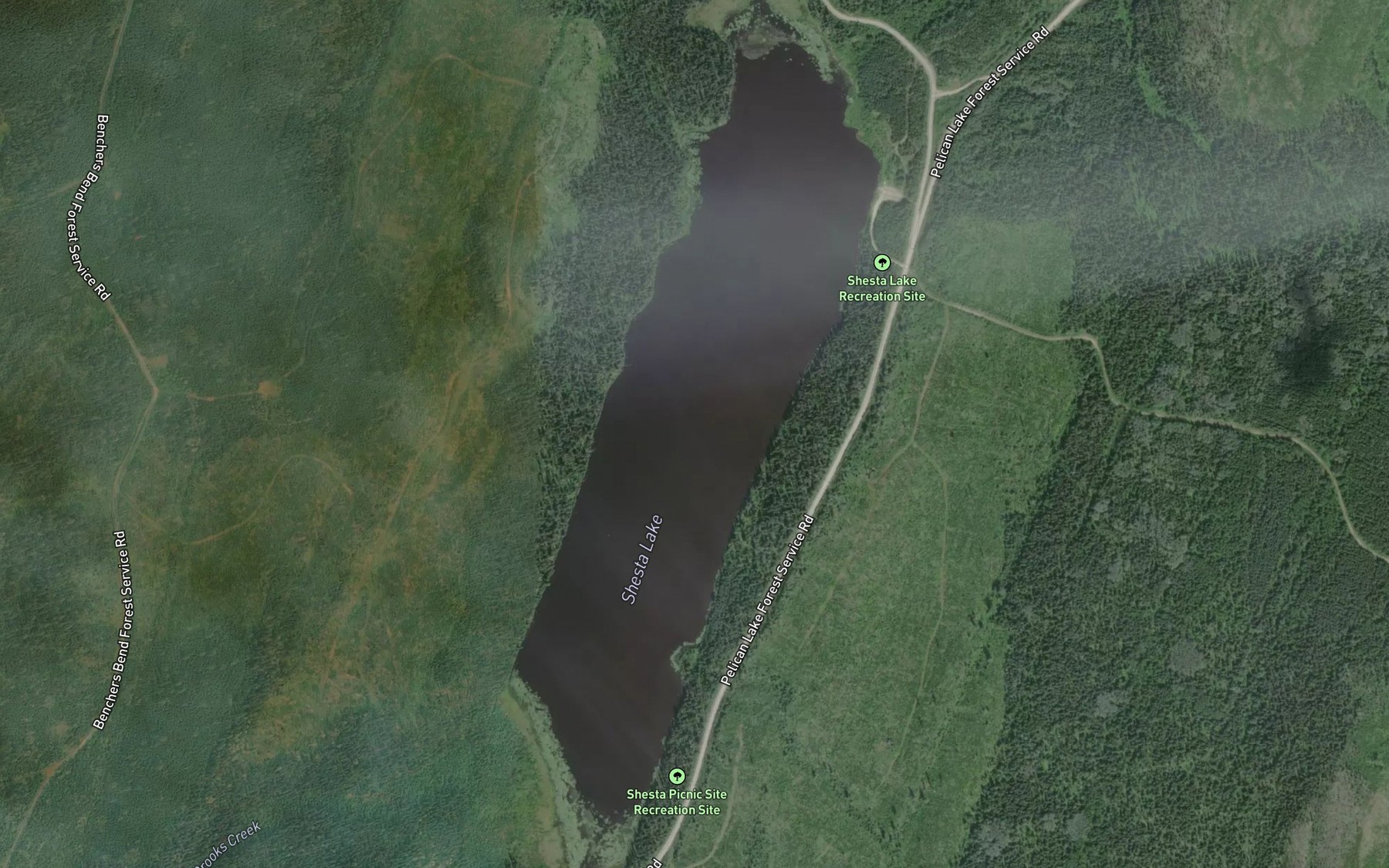 Satellite map of the Shesta Lake