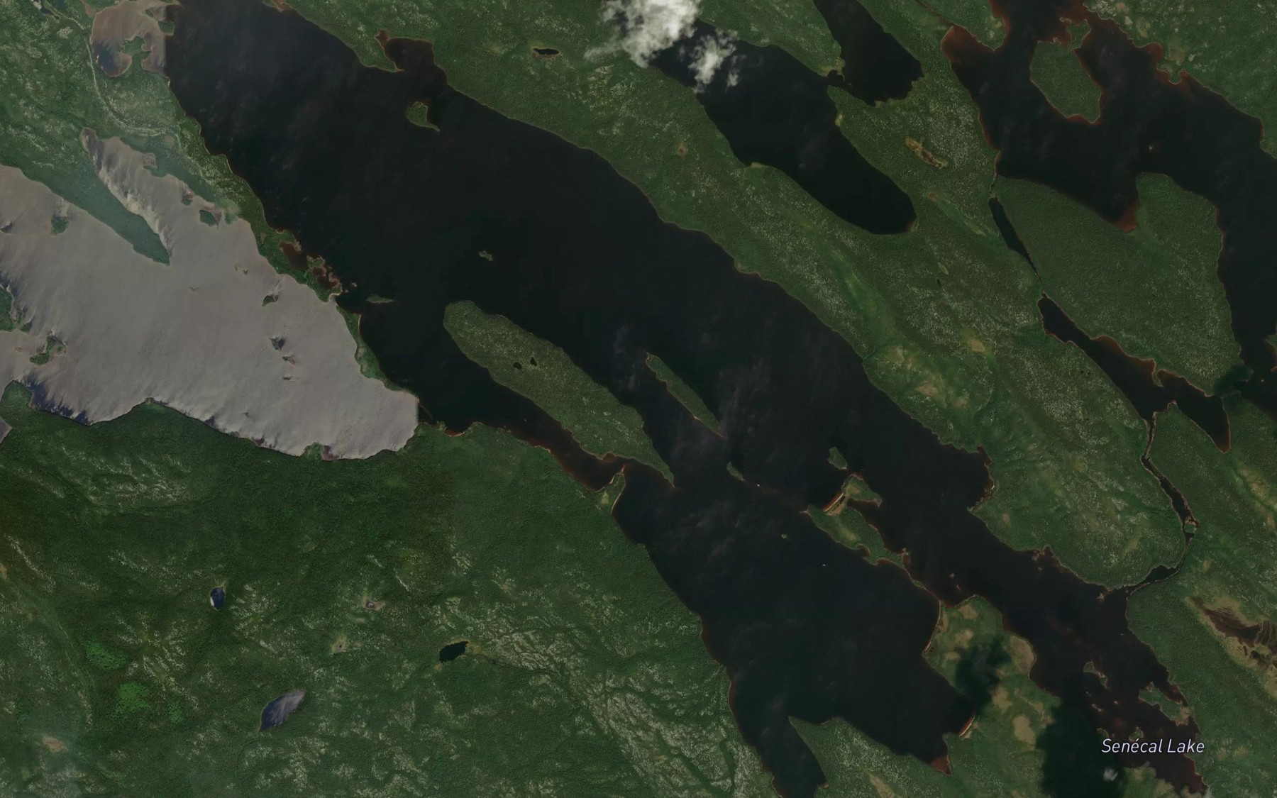 Satellite map of the Senecal Lake